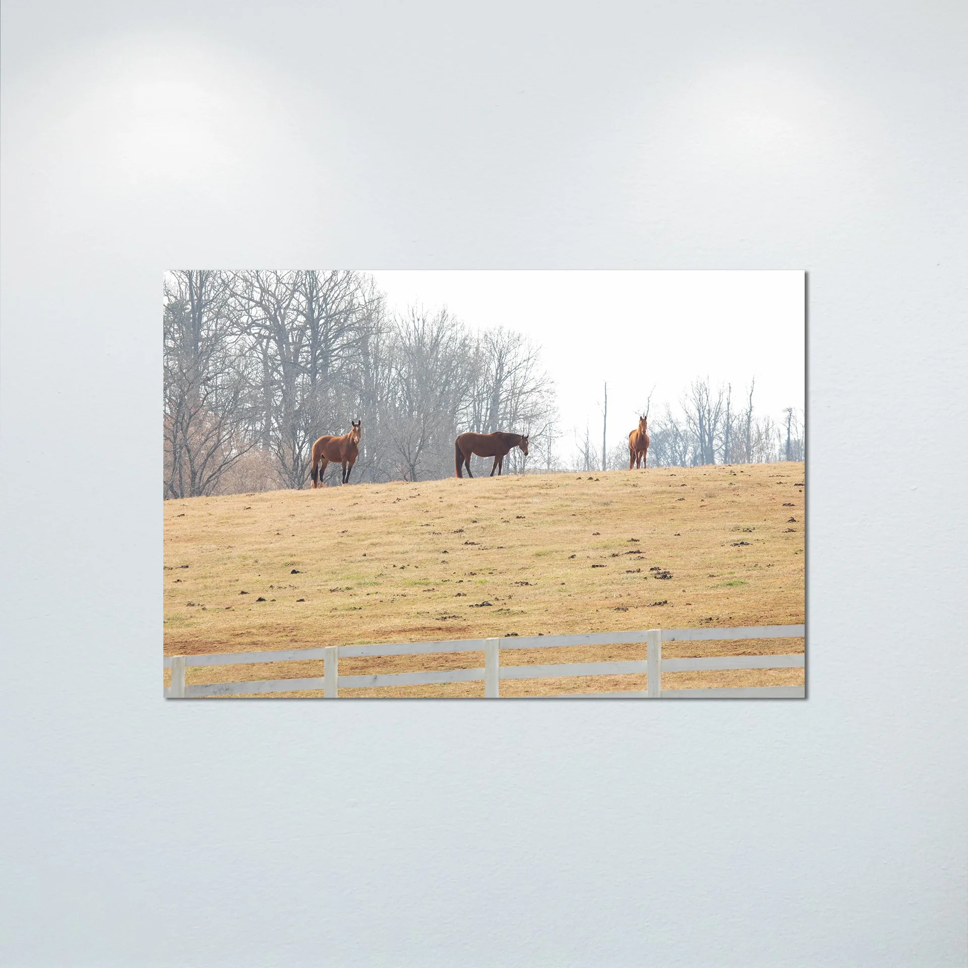 1/10 Horse Hill