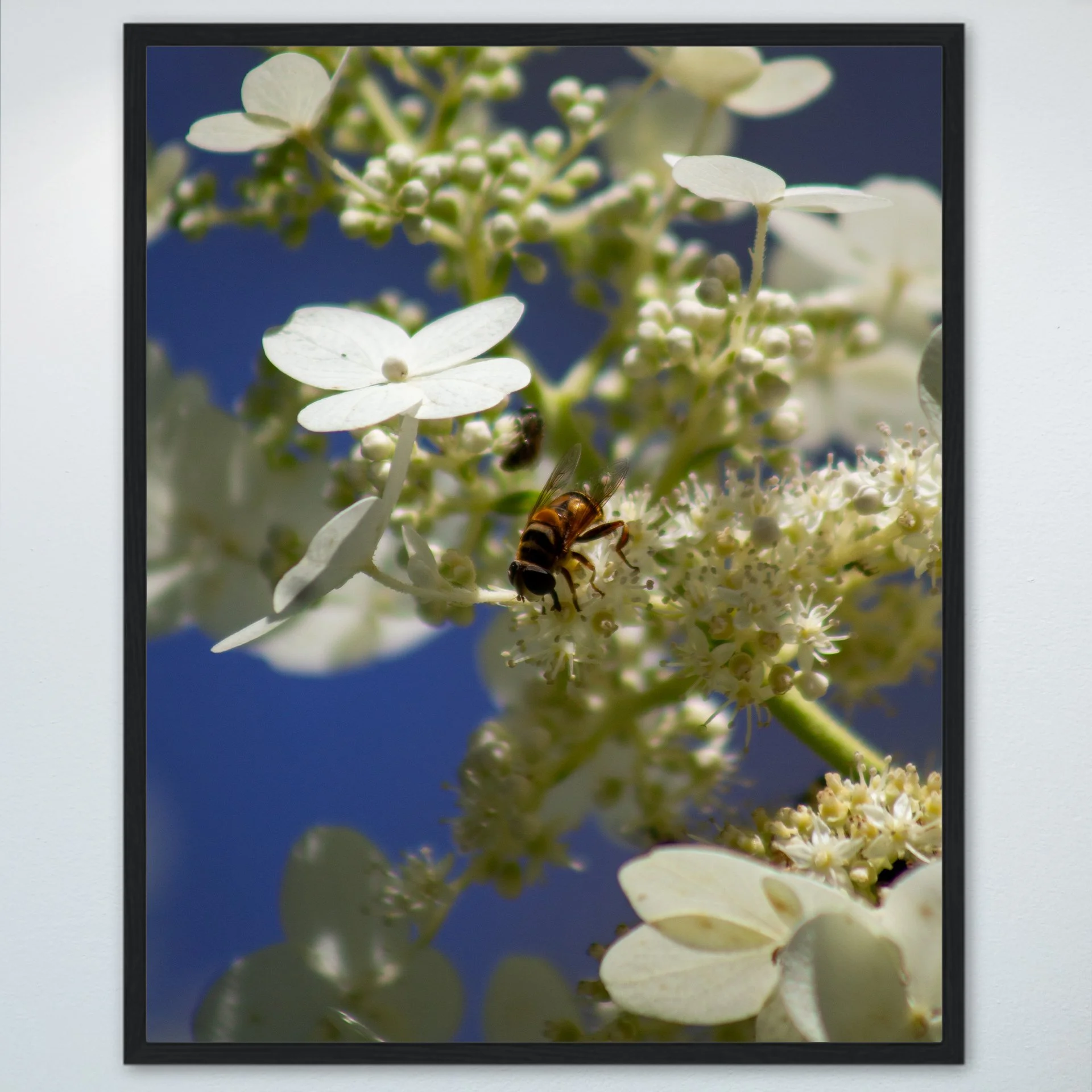 1:1 Pollinator in Norfolk- Wood.jpg