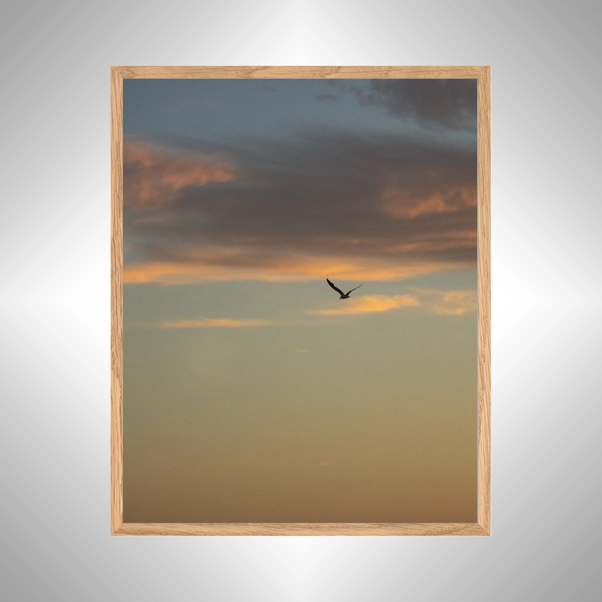 1:10 Seagull Soaring Gradient- White copy NATTY.jpg