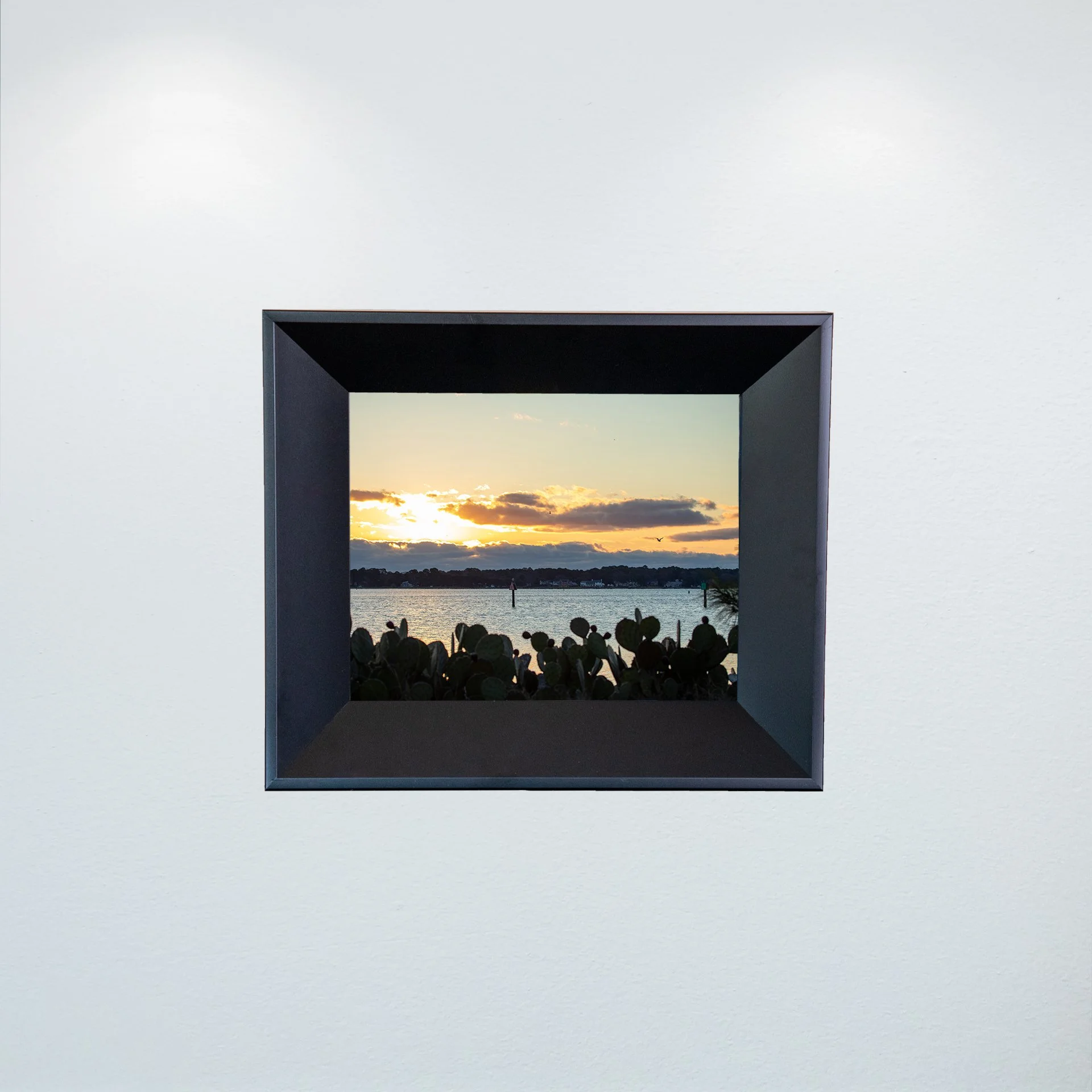 1:1 Lafayette River at Sunrise with Seagull- Mini.jpg