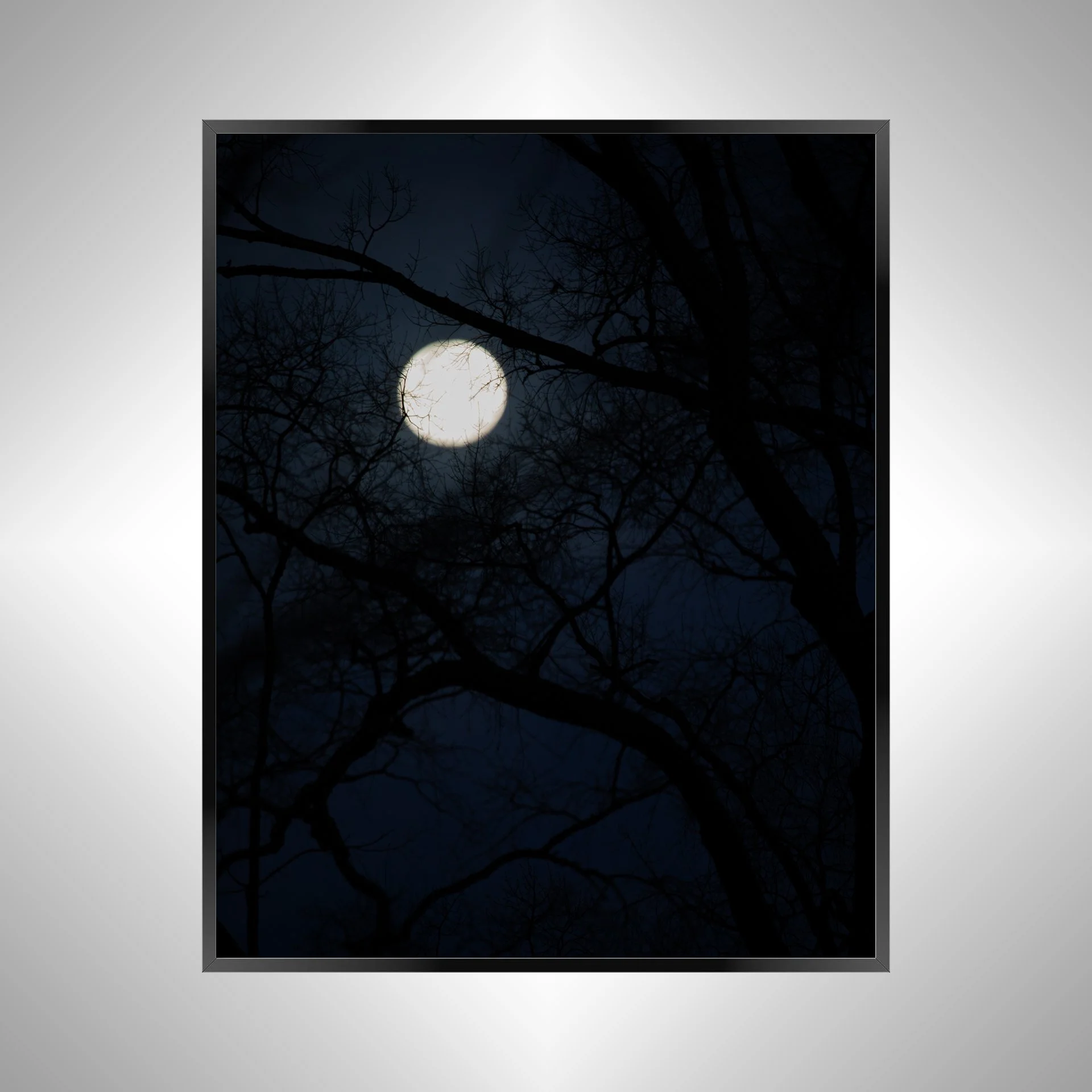 1/1 Spooky Moon in Norfolk