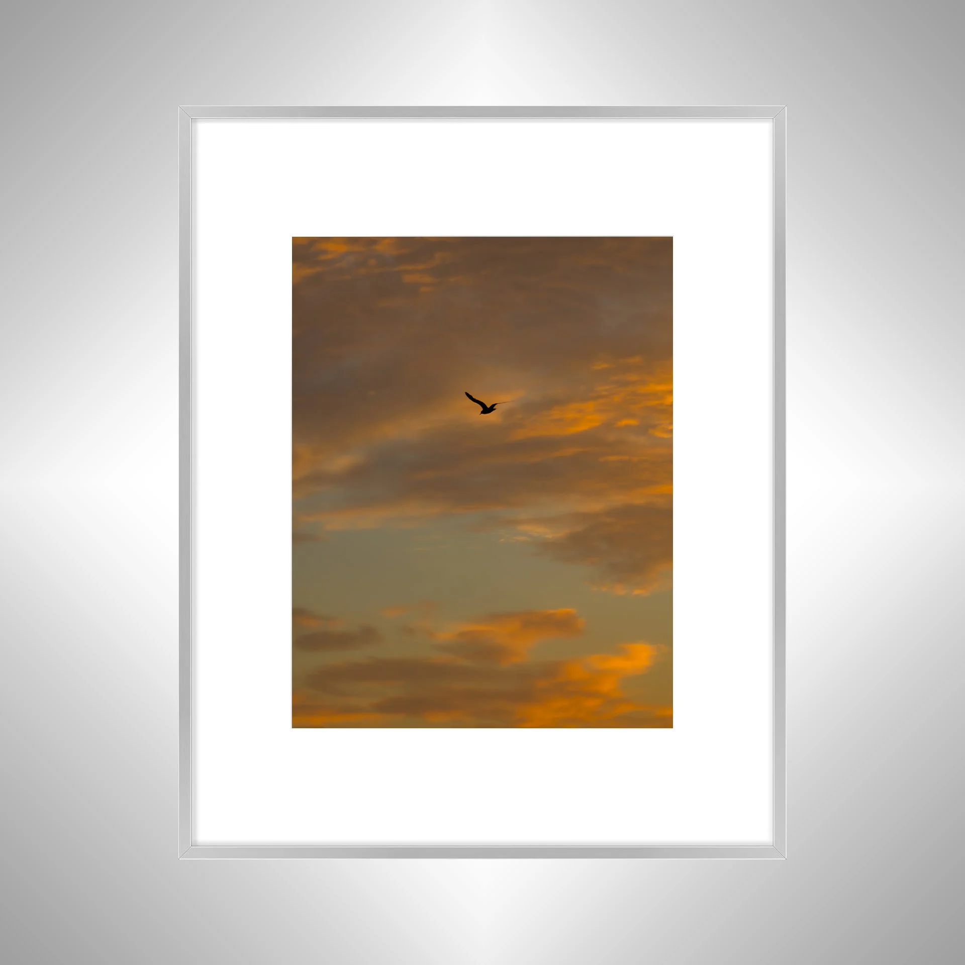 1:10 Seagull Soaring to Sunrise- Silver w: Border.jpg