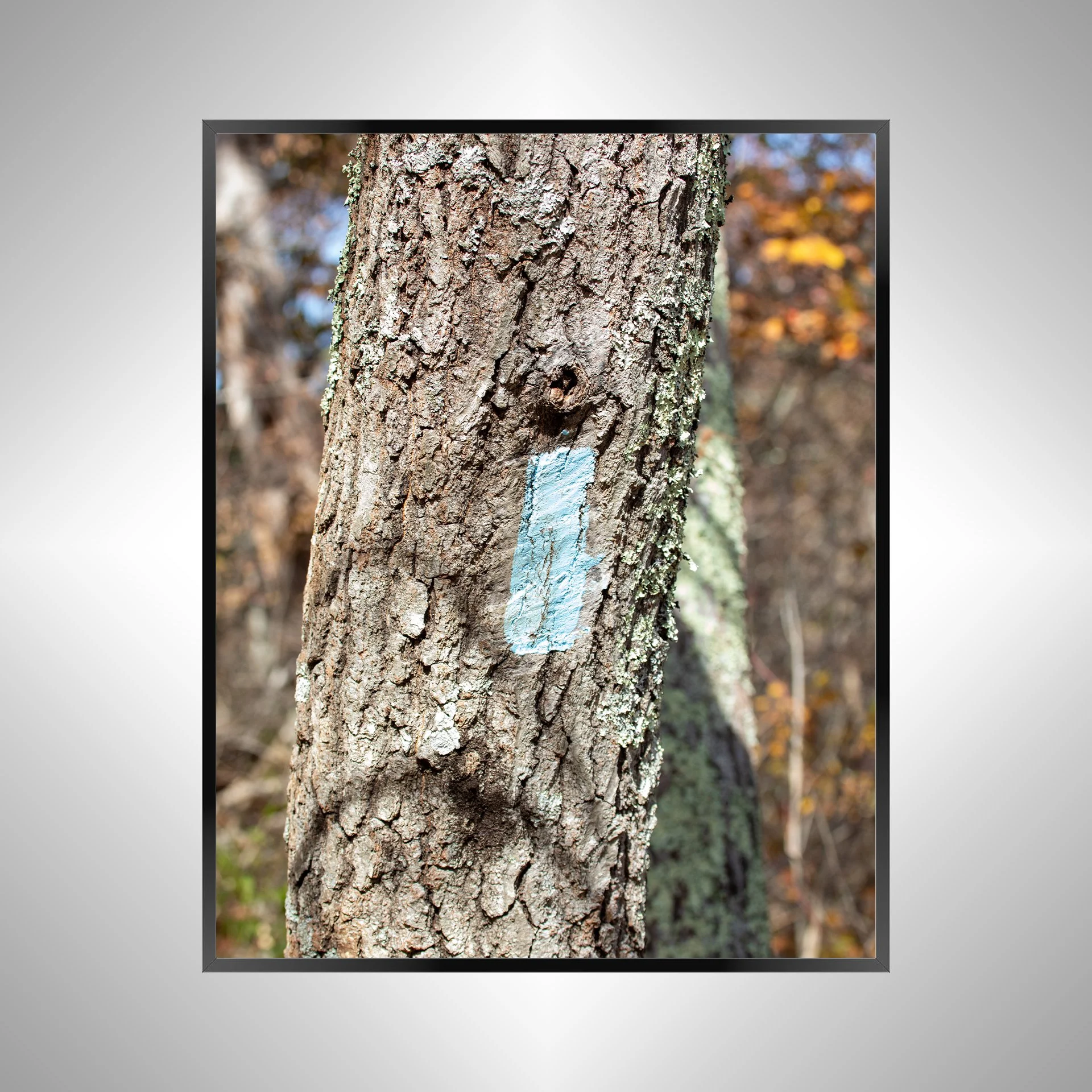 1/10 Appalachian Trail Blaze
