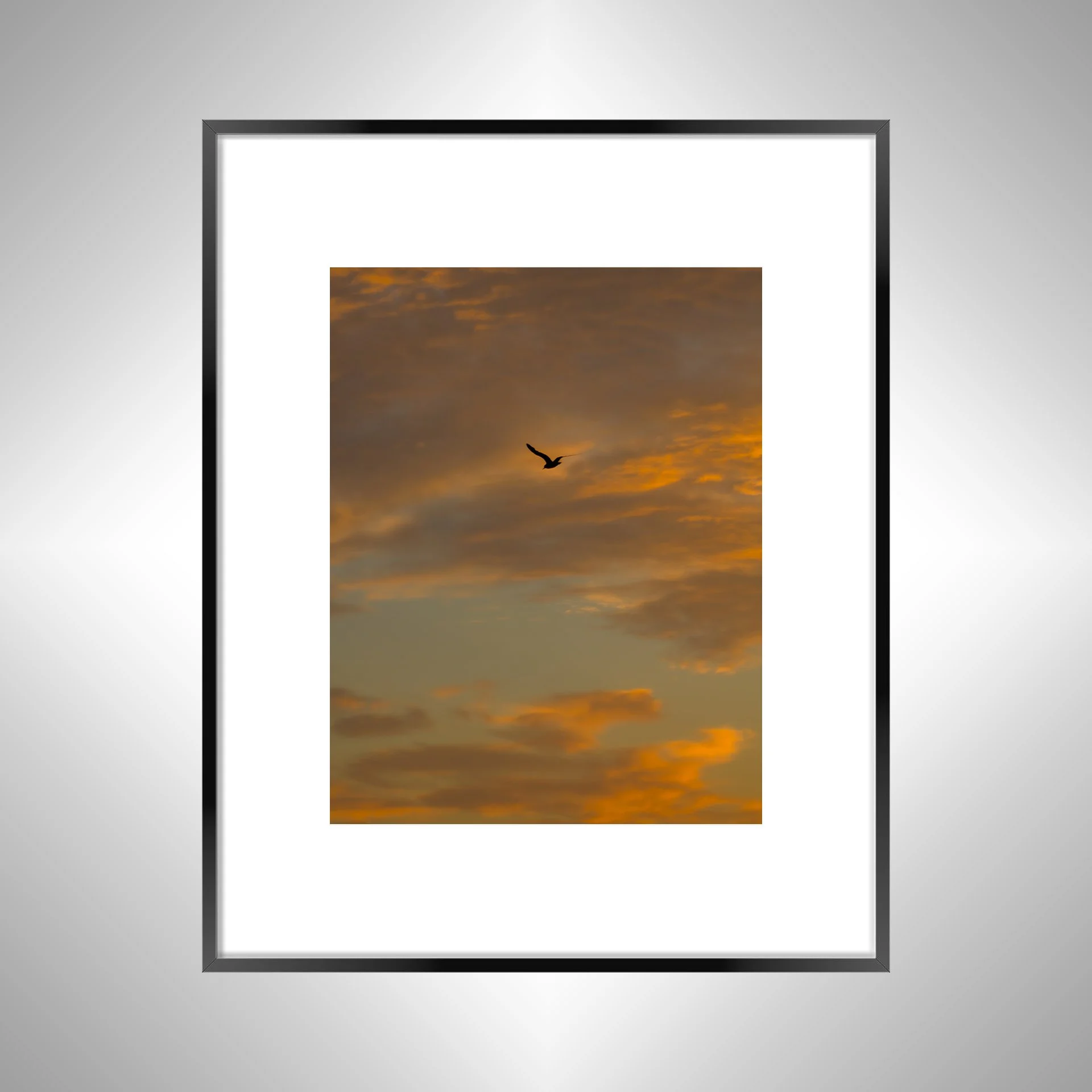 1:10 Seagull Soaring to Sunrise- Black w: Border.jpg