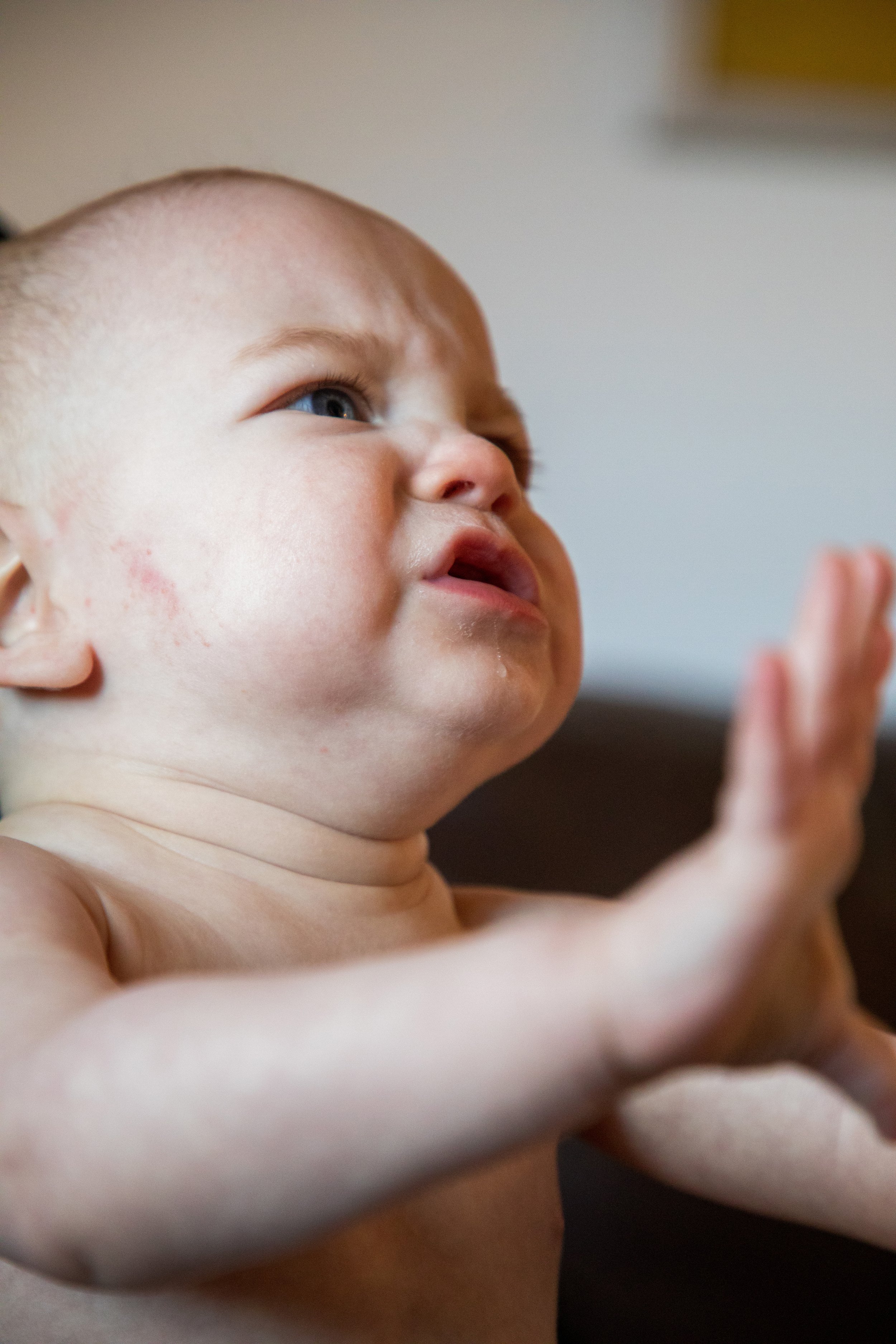 Hudson & Nolan44.jpg