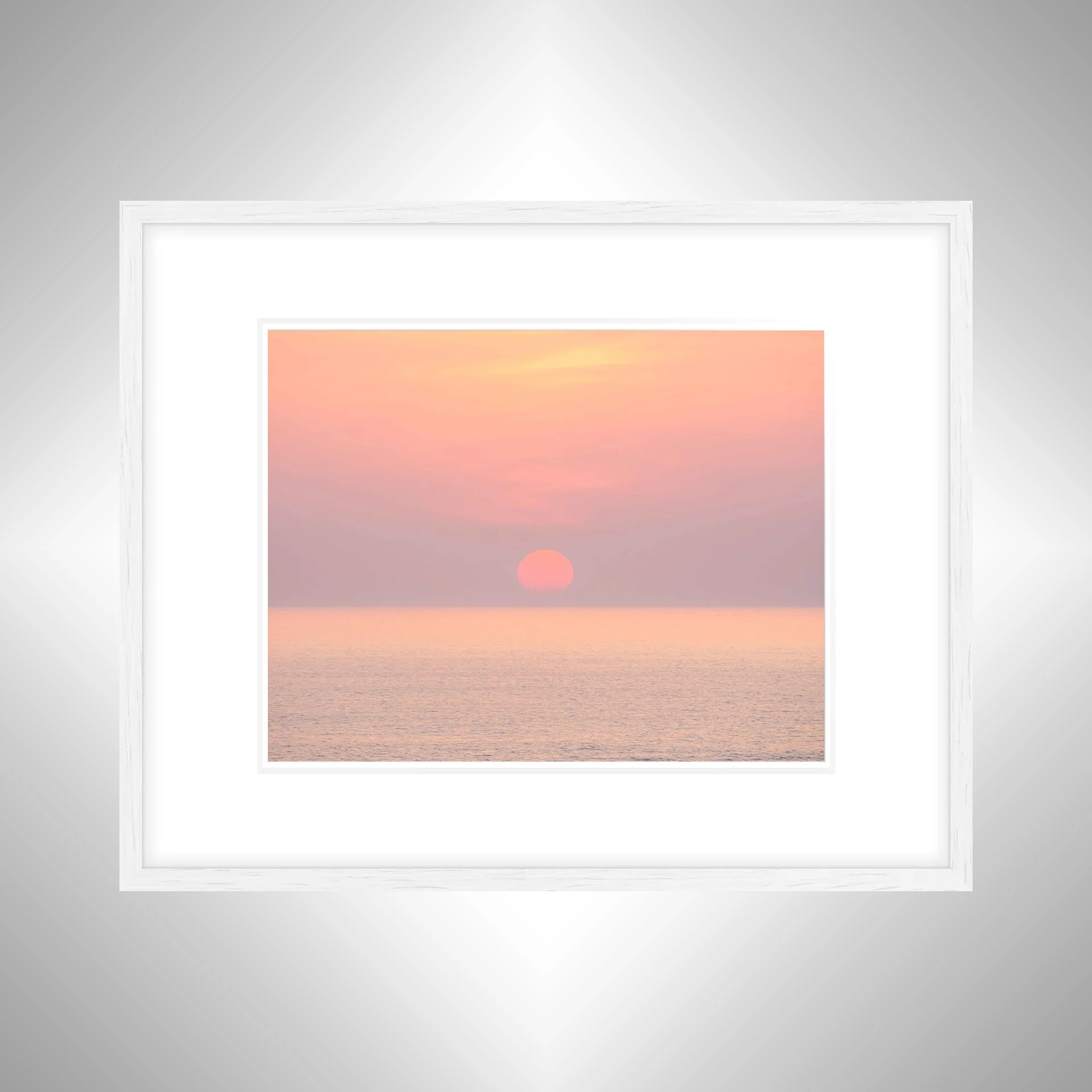 1:1 Pink Sun- White w: Border.jpg