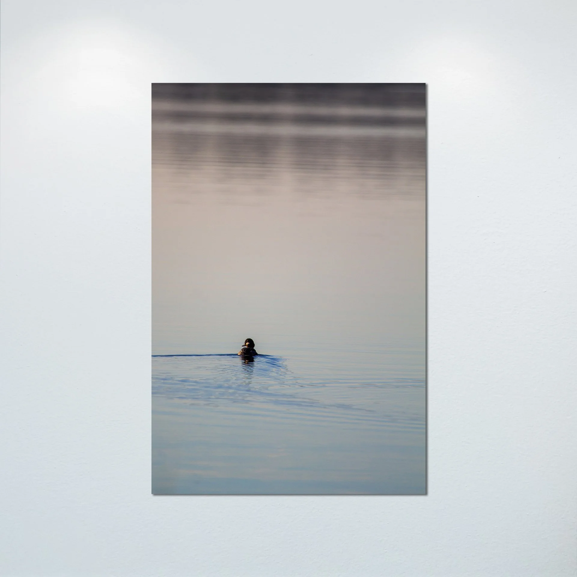 1:10 Bufflehead on Lafayette- Poster & Canvas.jpg