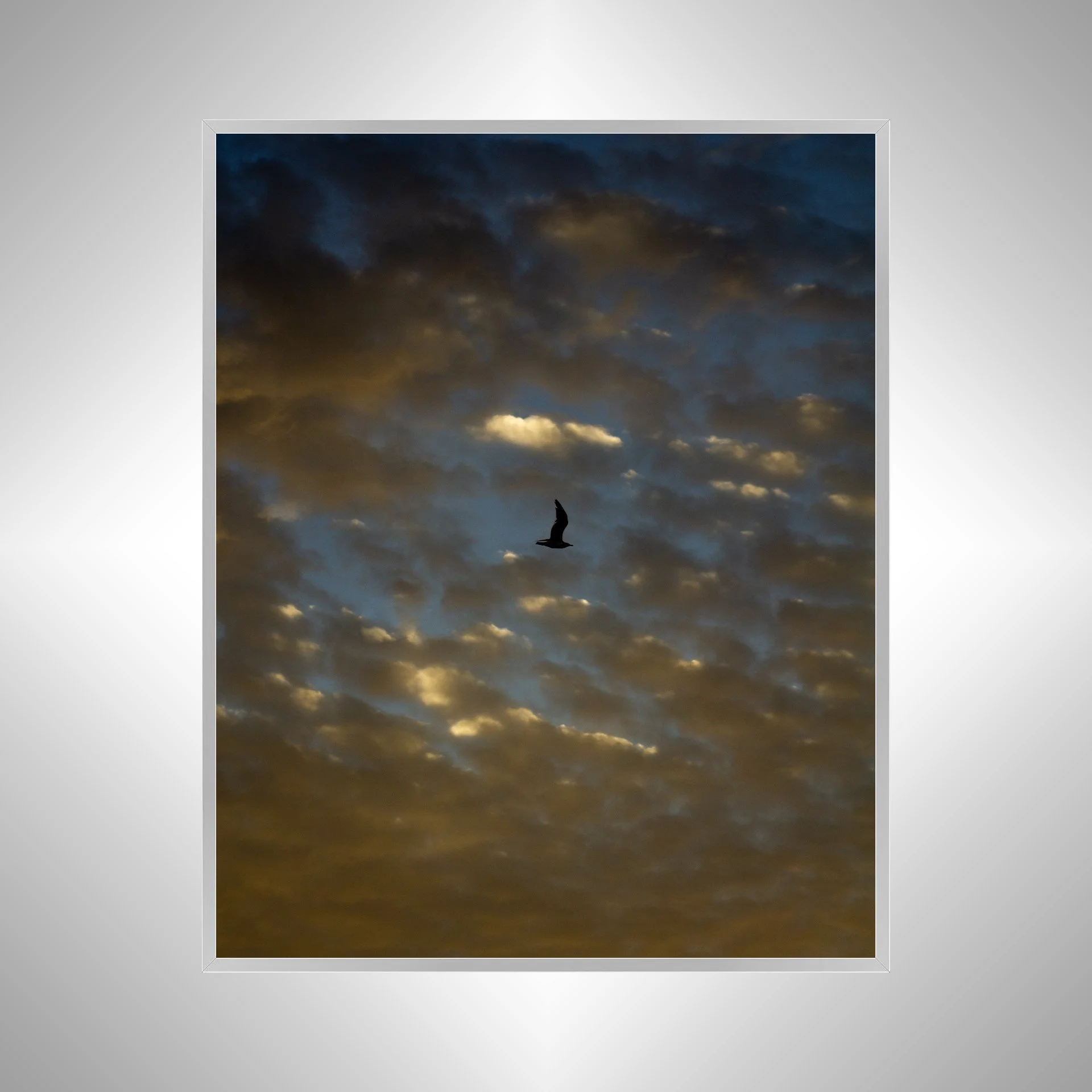 1:1 Golden Blue Cloudy Skies & Seagull- Silver Metal.jpg