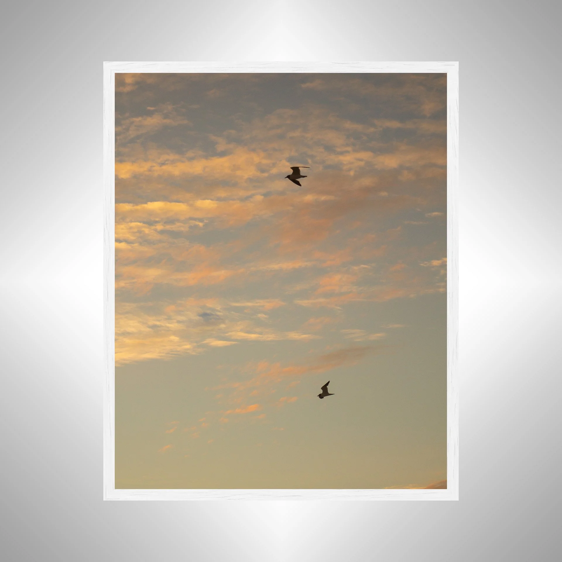 1:10 Love Birds (Seagulls)- White.jpg