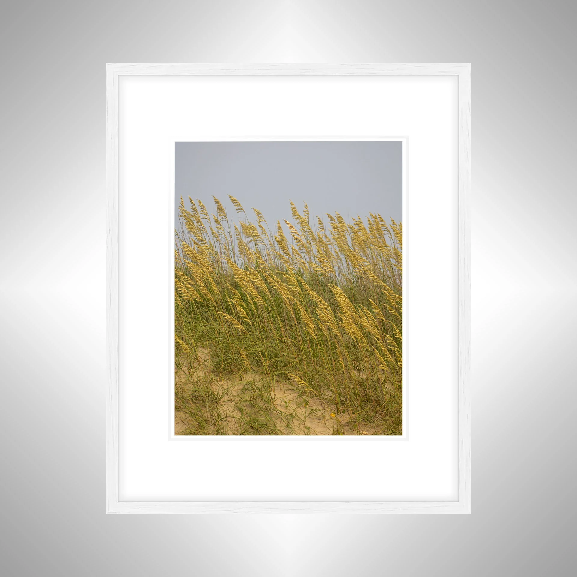 1:1 Rodanthe Dune Oats (Portrait)- White w: Border.jpg