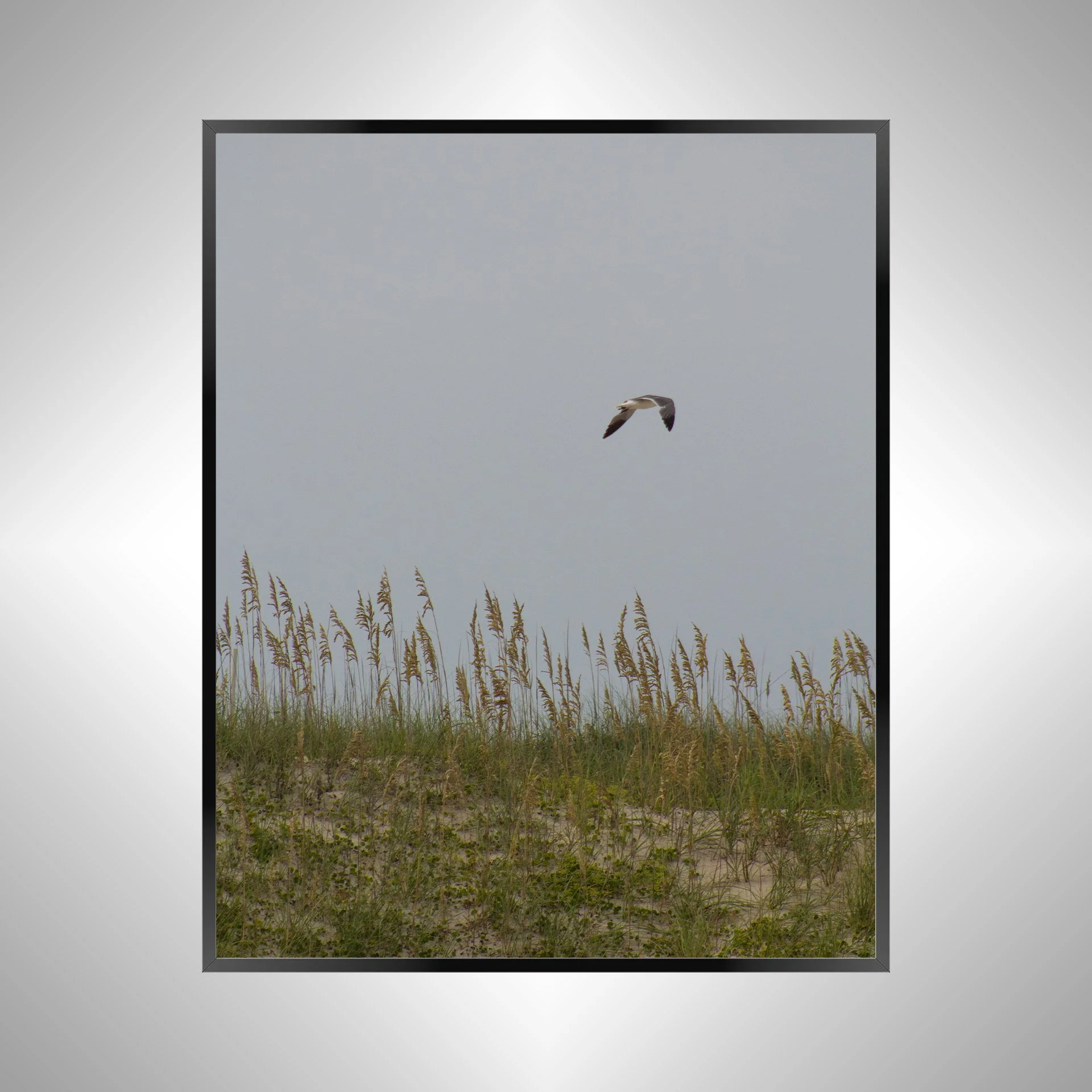 1/1 Seagull with Sea Oats