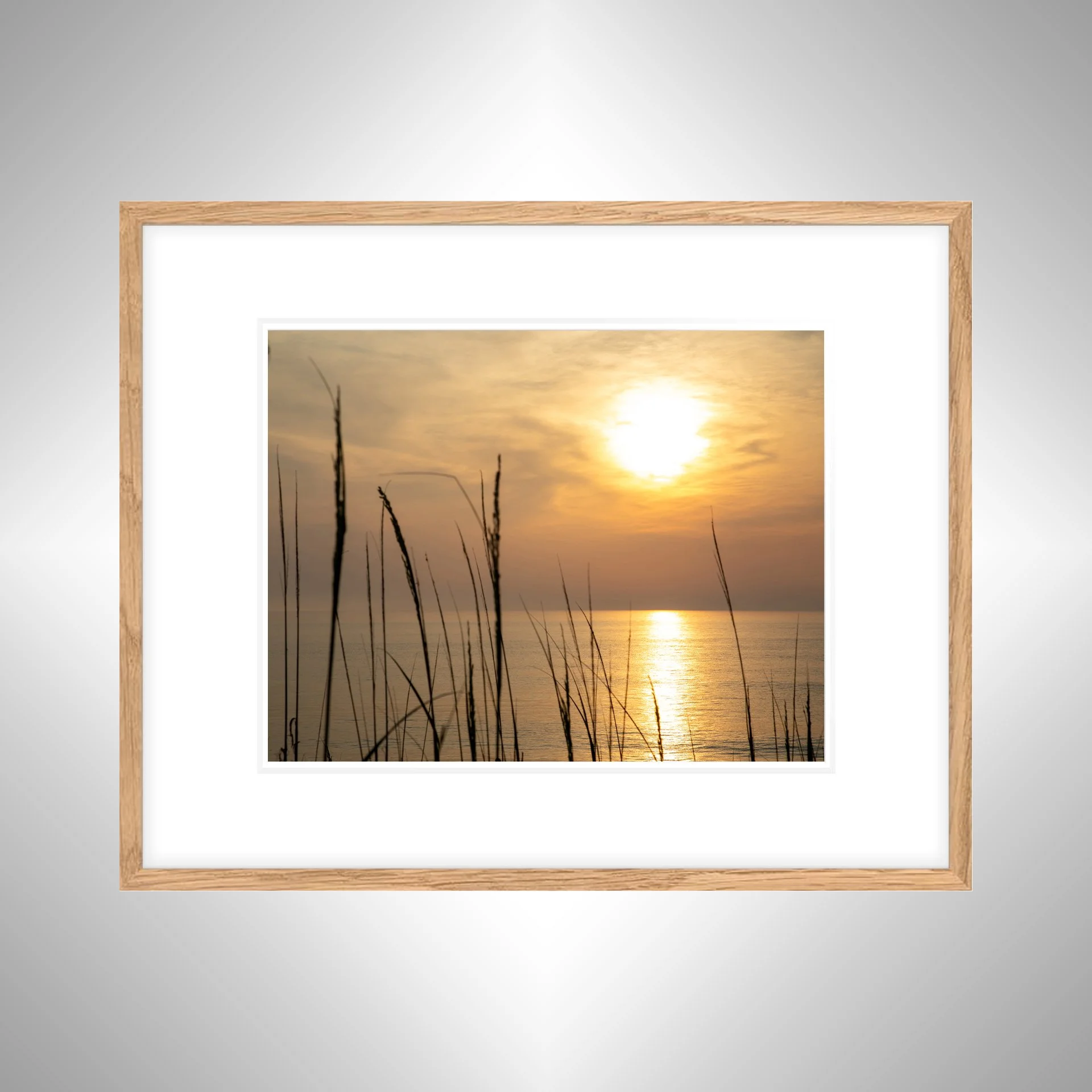 1:1 Sunrise Reflection thru Dunegrass- White w: Border copy NATTY.jpg