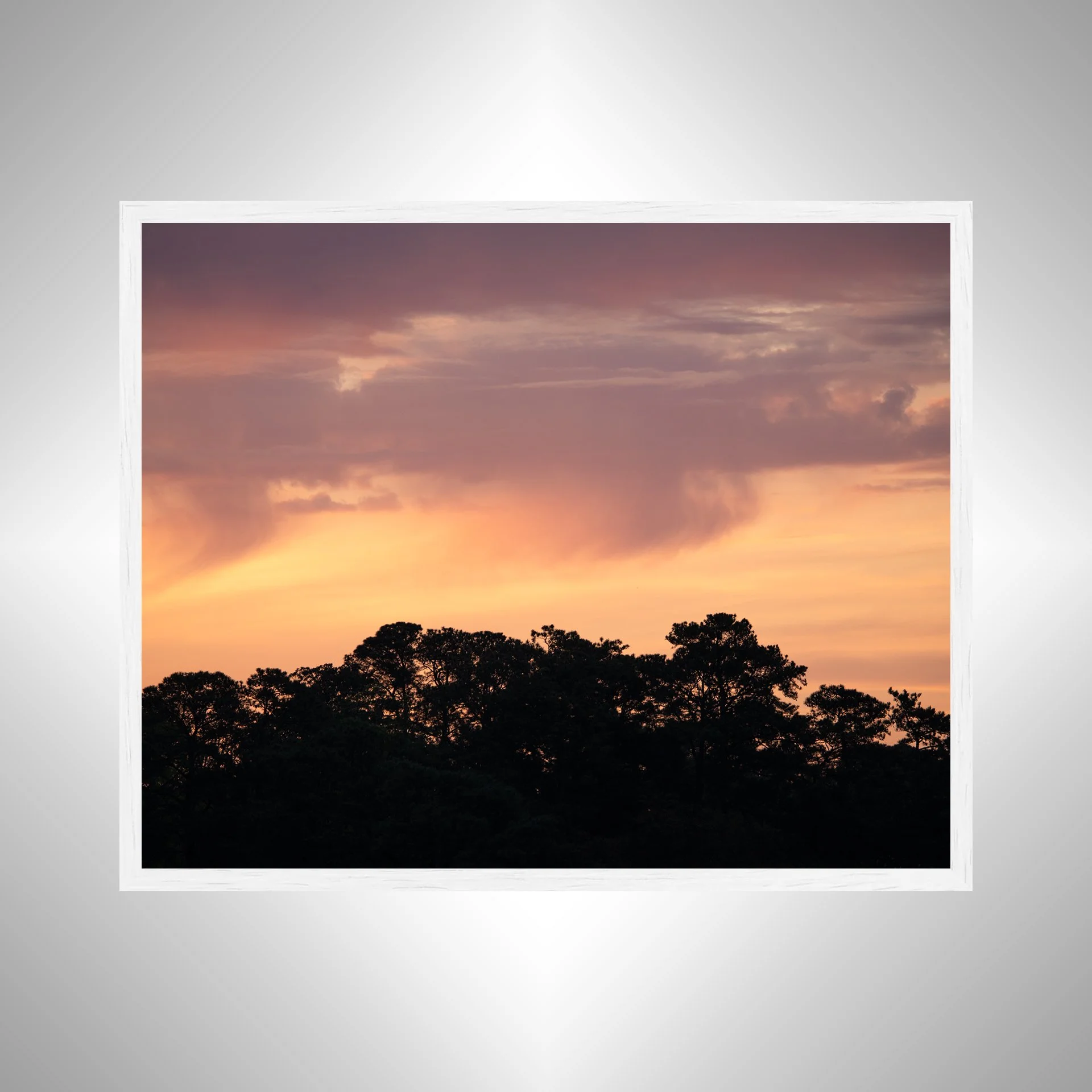 1:10 Orange & Gold Sunrise Sky Behind Trees- White.jpg