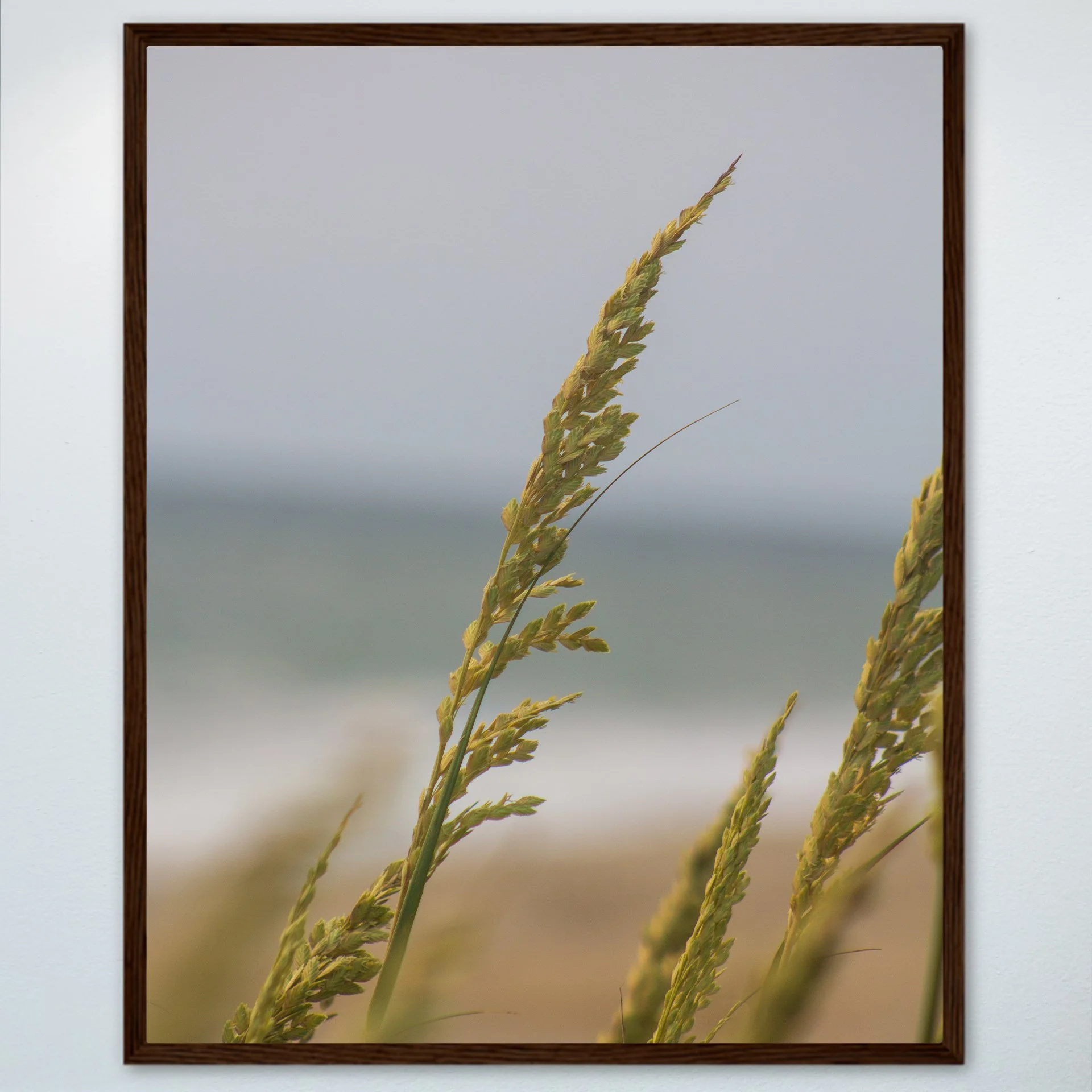 1:1 Rodanthe Dune Oats Single- Wood.jpg