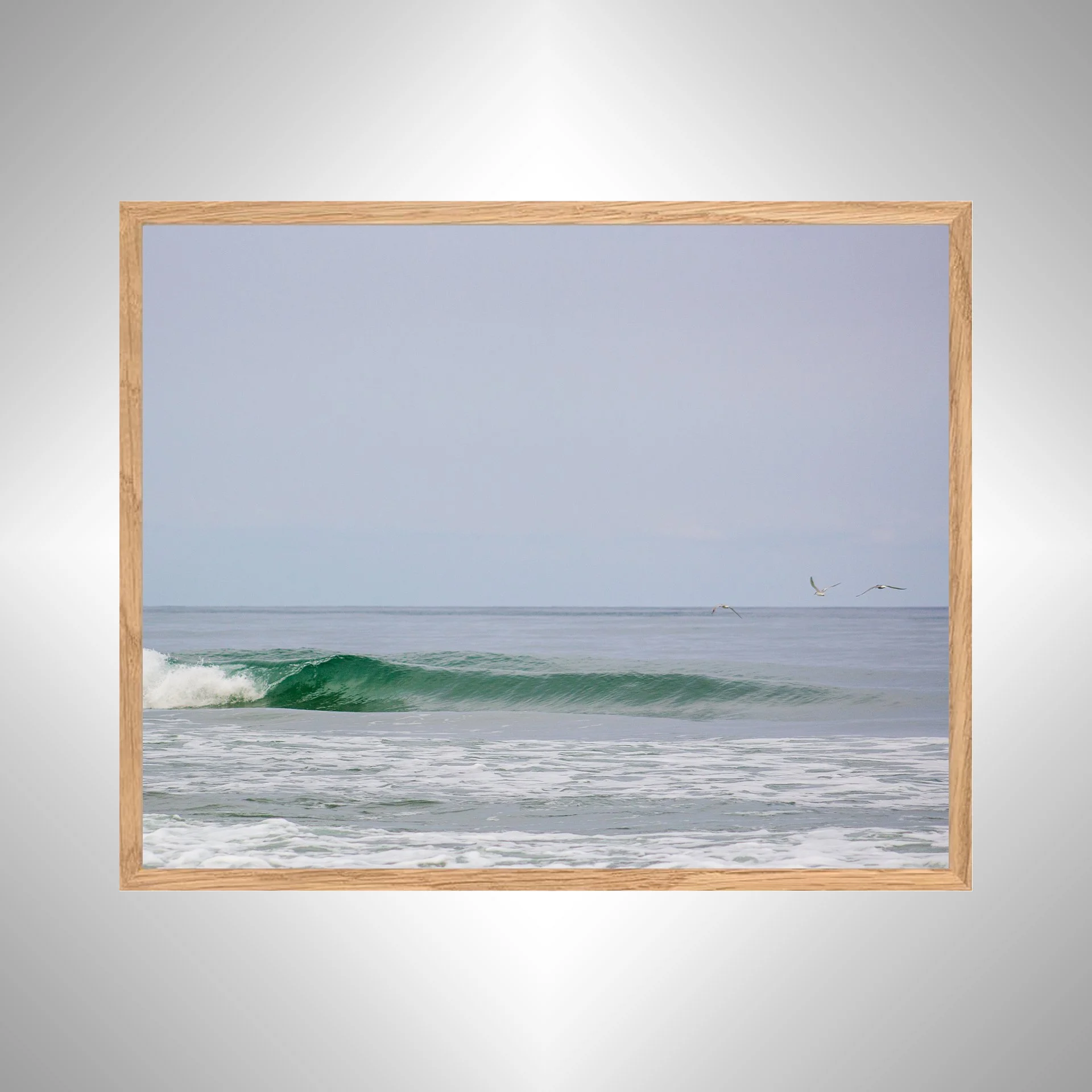 1:1 Trio of Seagulls Flying by Barrel- White copy NATTY.jpg