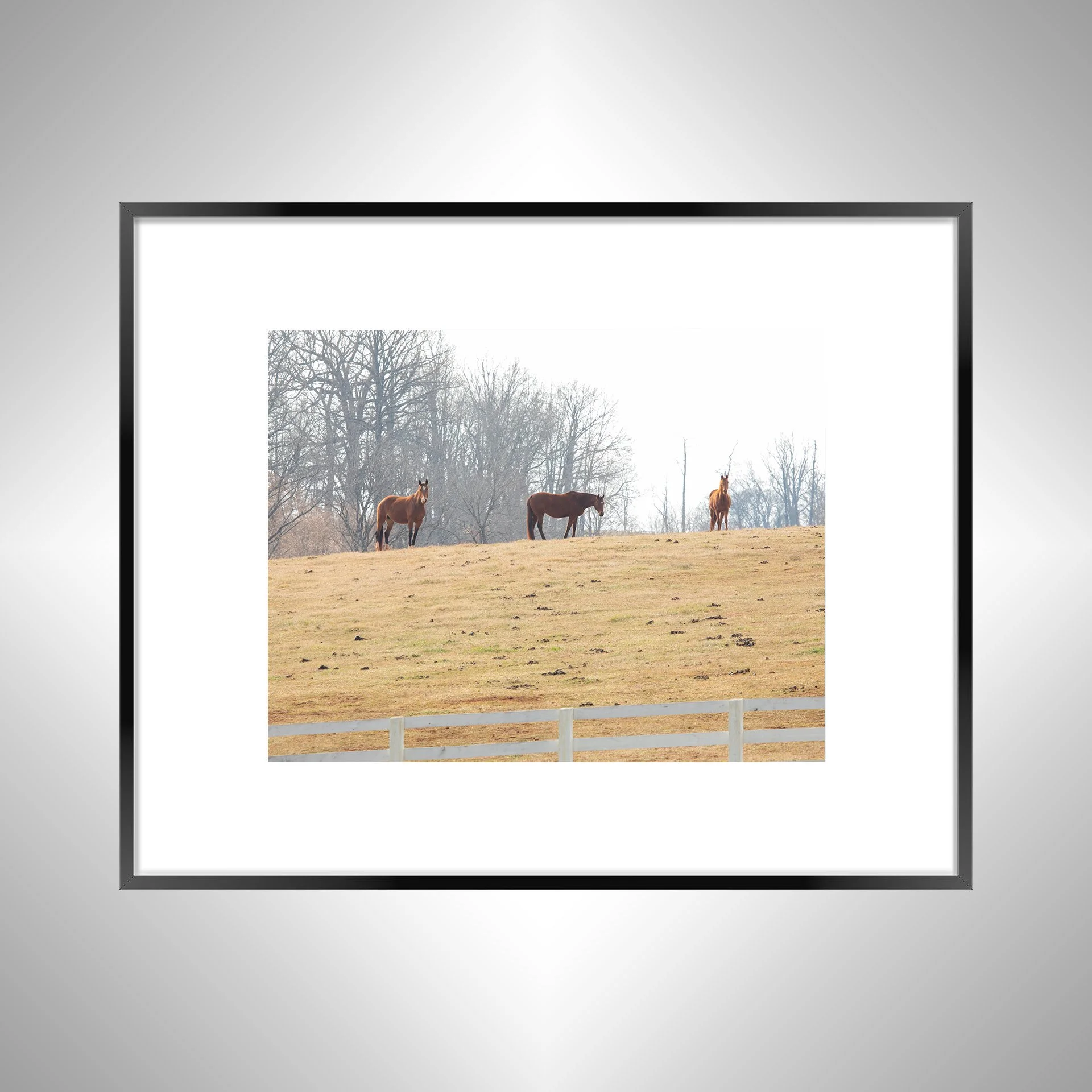 1:10 Horse Hill- Black w: Border.jpg