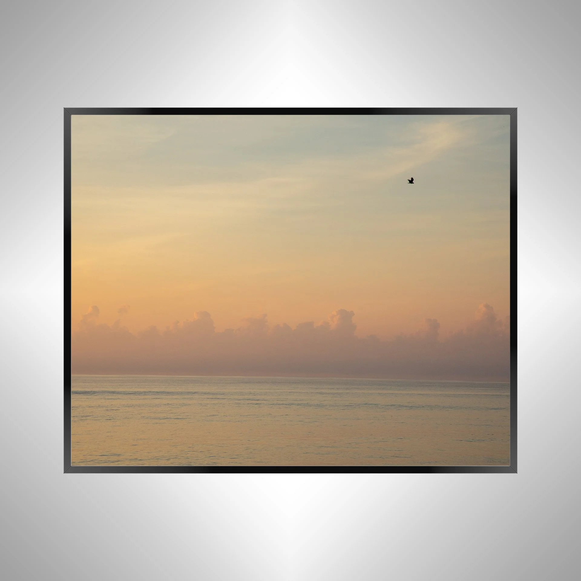 1/1 Clouds on the Horizon with Seagull