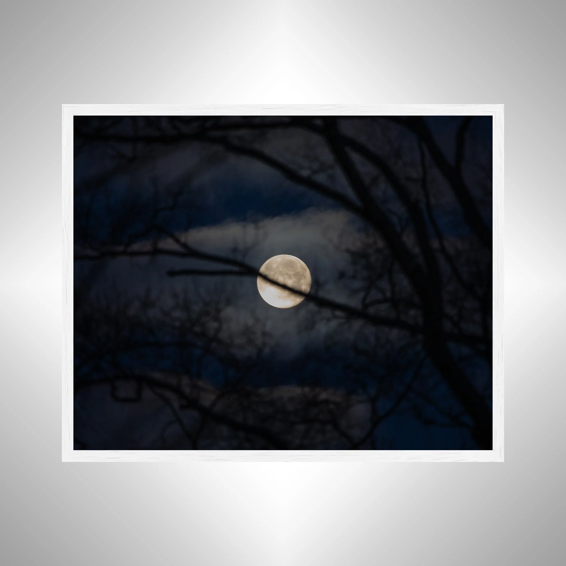 1:1 Moon thru Tree Branches- White Wood.jpg