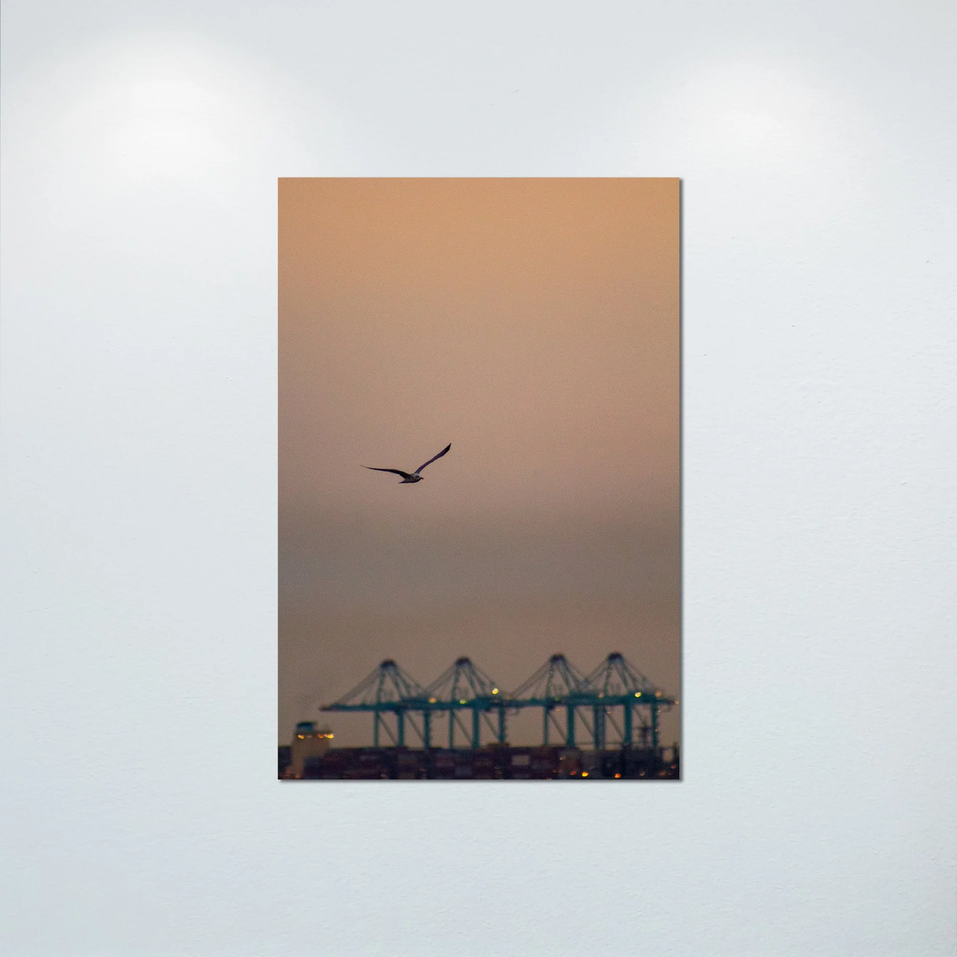 1:1 Seagull with Terminal Cranes- Poster & Canvas.jpg