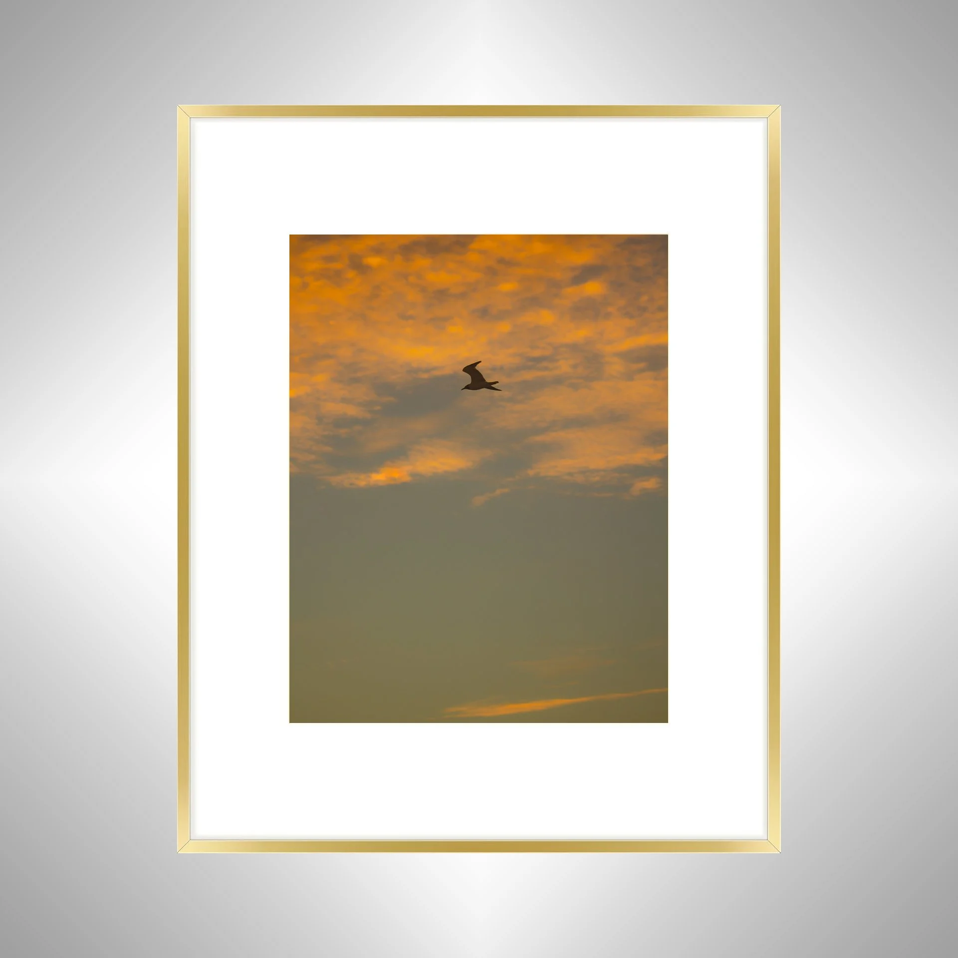 1:1 Seagull Flying with Orange Clouds- Gold w: Border.jpg