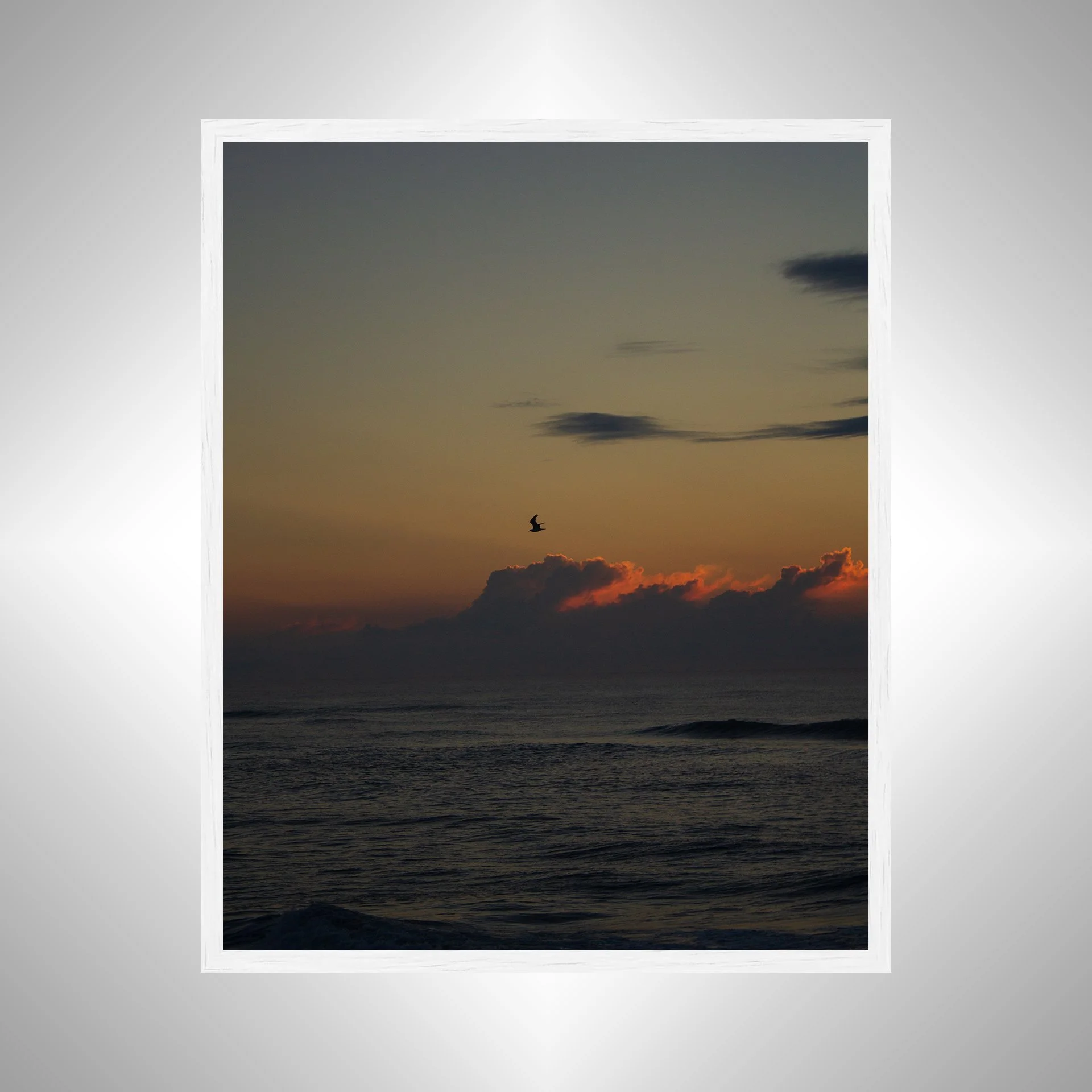 1:1 Cloudy Sunrise Soaring Seagull- White Wood.jpg