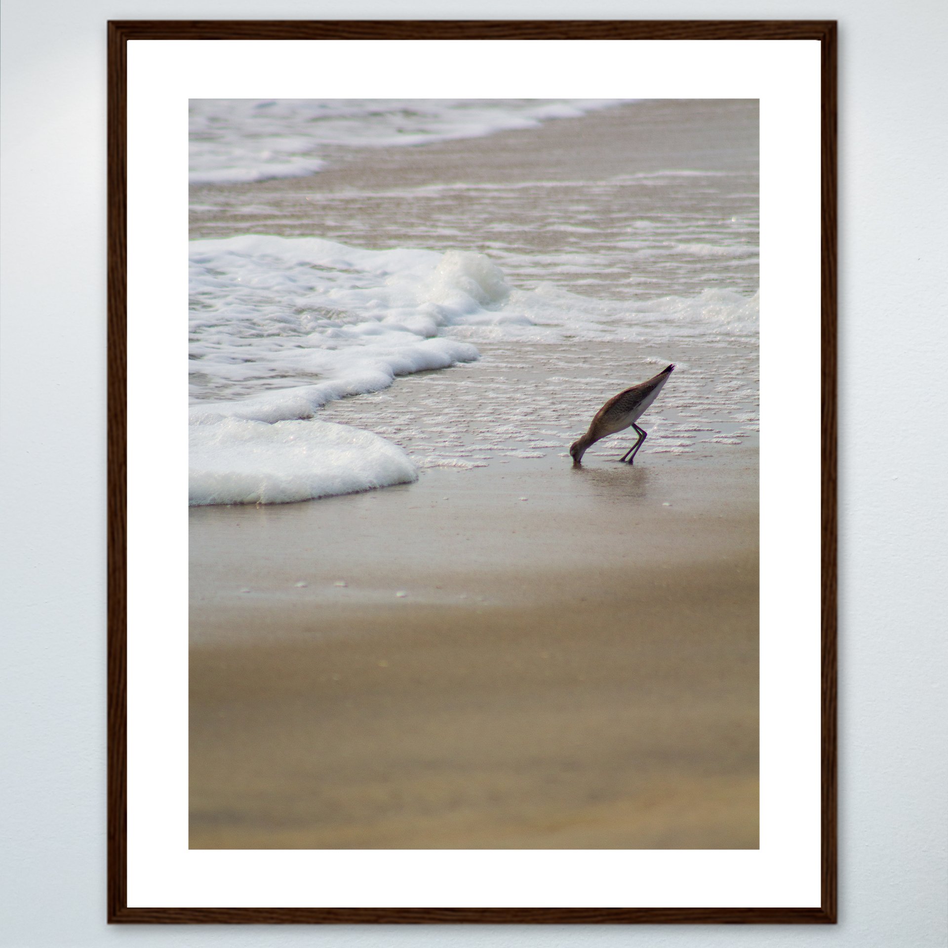 1:1 Willet at Beach Eating- Wood w: Border.jpg