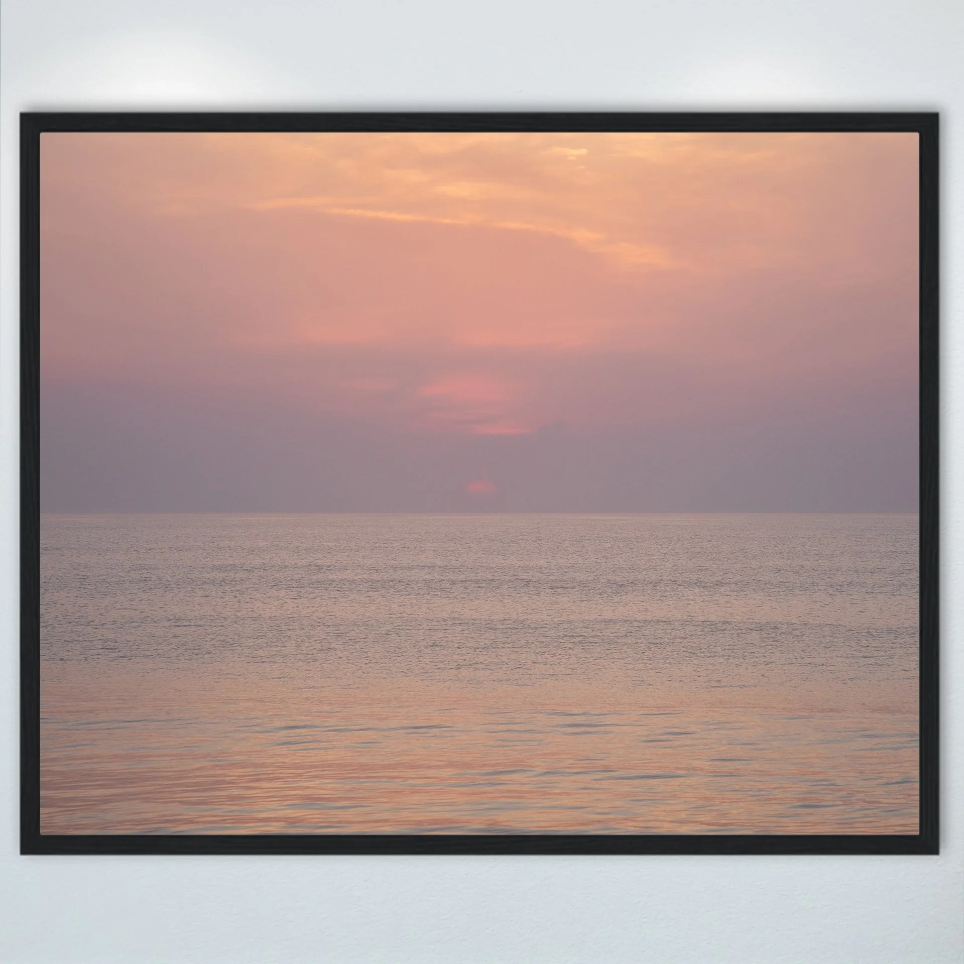 1:1 Early Morning in Duck- Wood.jpg