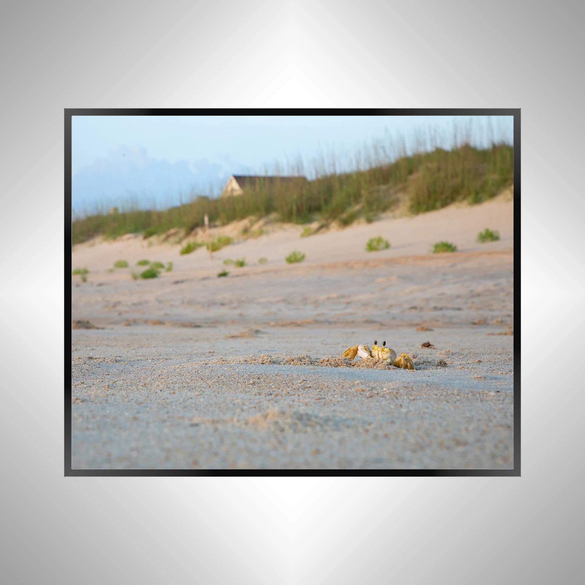 1/10 Ghost Crab Headshot