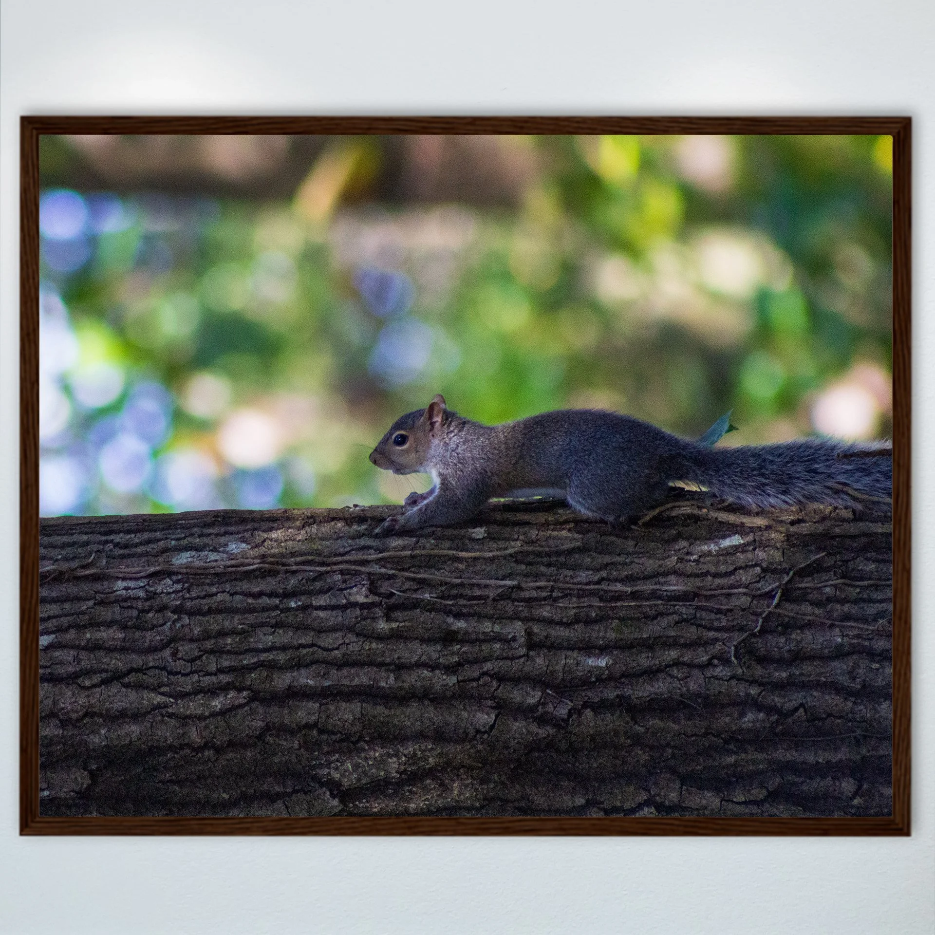 1:1 Squirrel's World- Wood.jpg