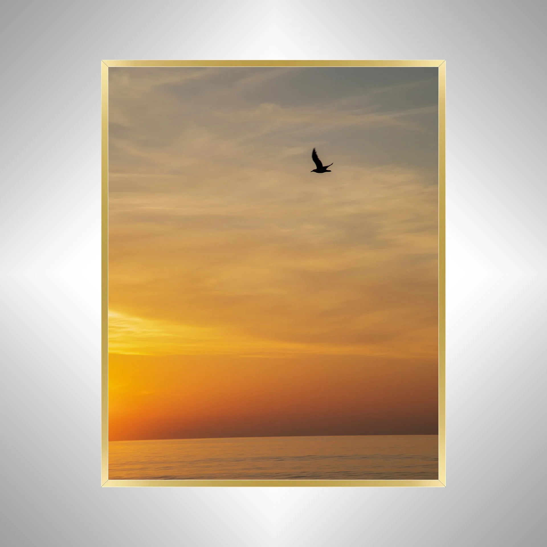 1:1 Seagull at Sunrise in Duck, NC (Portrait)- Gold.jpg