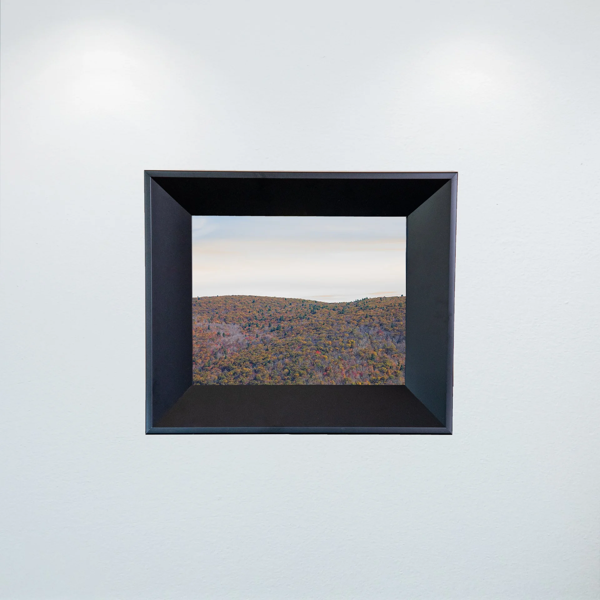 1:1 Shenandoah Mountain Tree Canopy at Fall- Mini.jpg