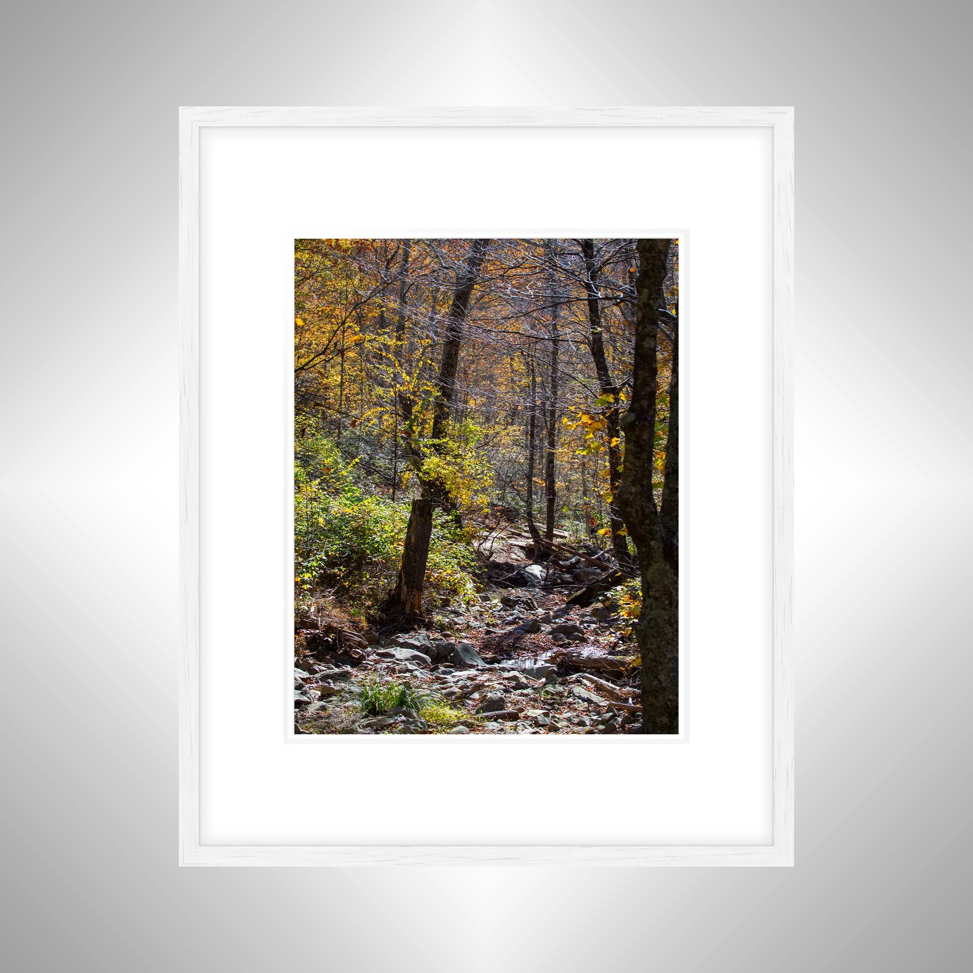 1:1 Shenandoah National Park Rocky Trail- White w: Border.jpg
