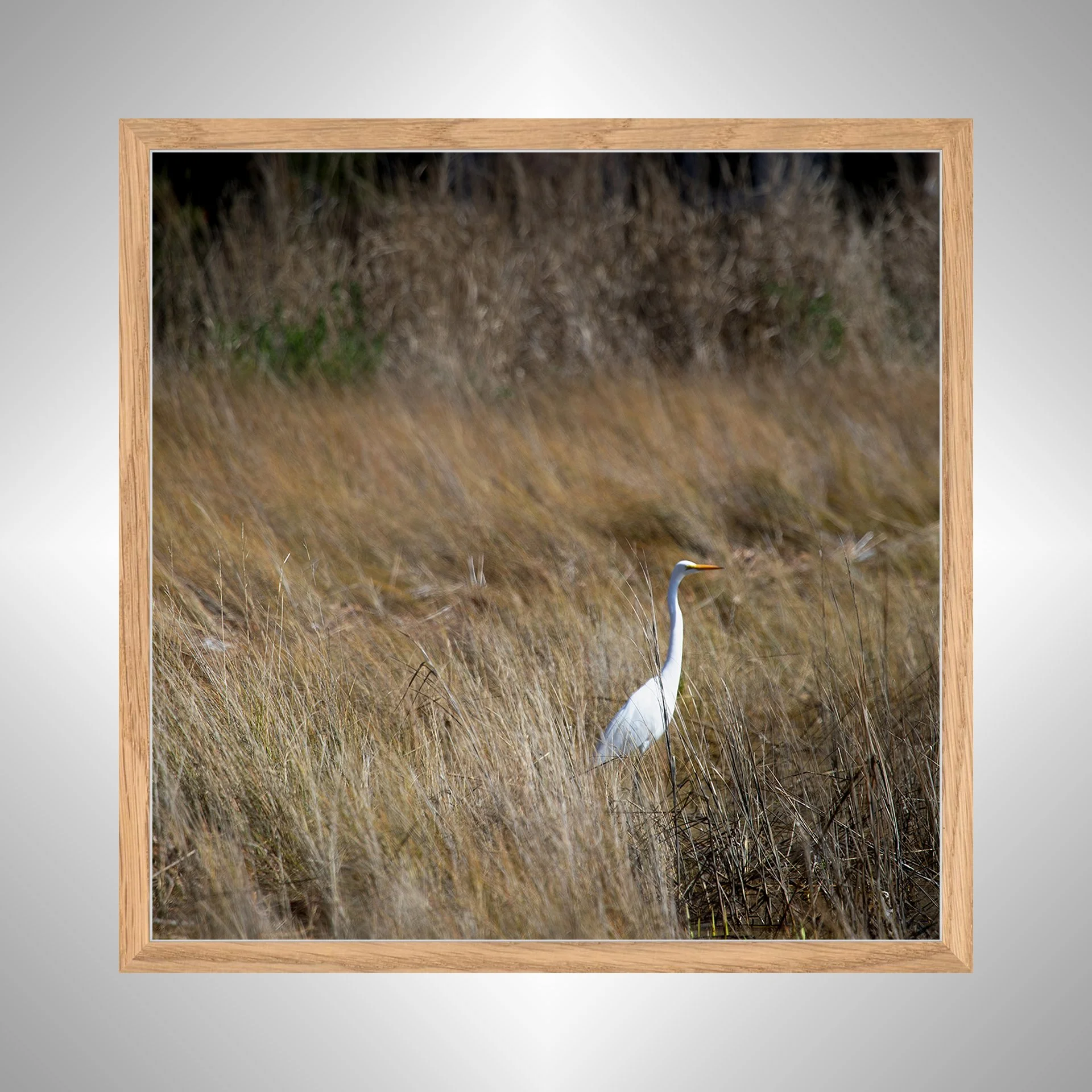 1:1 Sitting Egret (Square)- White Wood copy NATTY.jpg