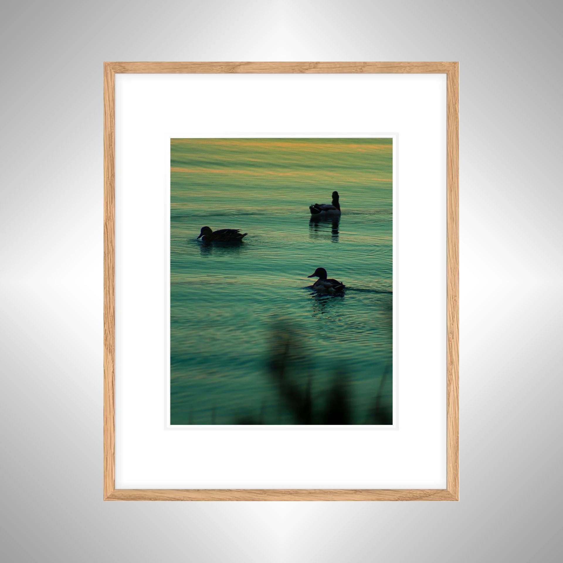 1:1 Duck Family Swimming towards Sunset- White Wood w: Border copy NATTY.jpg