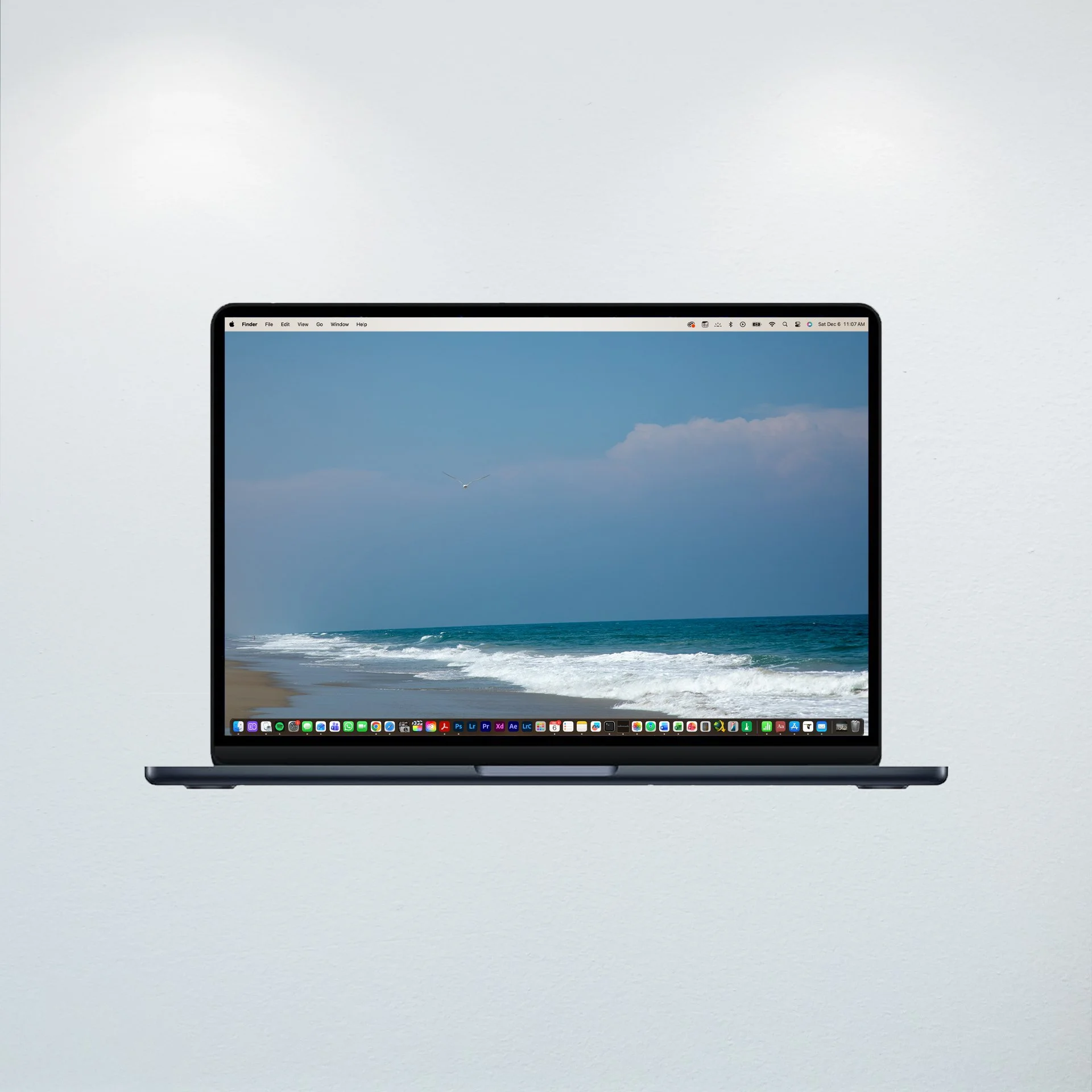 1:10 Seagull in Carova- Wallpaper.jpg