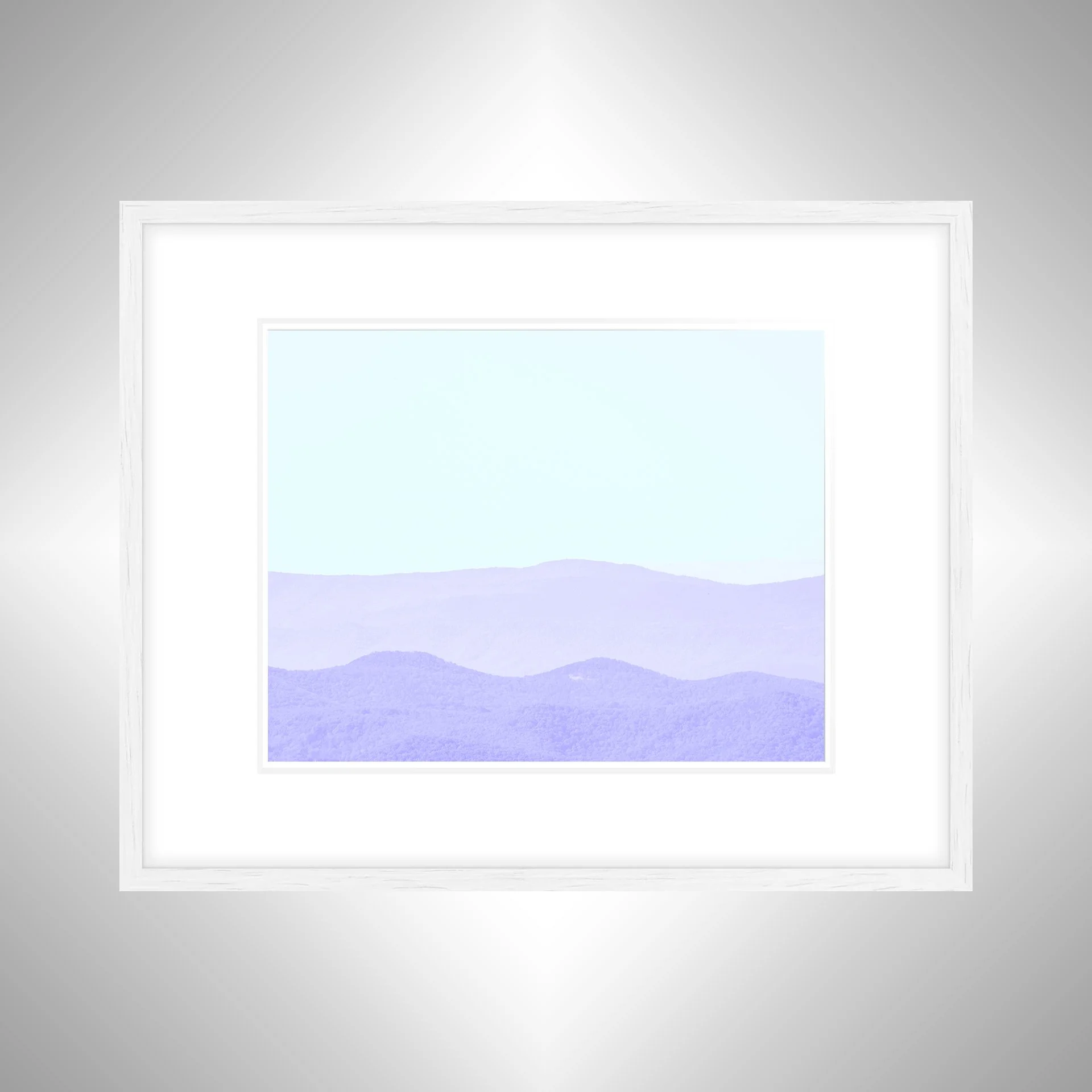 1:1 Shenandoah Purple Canopy Layers- White w: Border.jpg