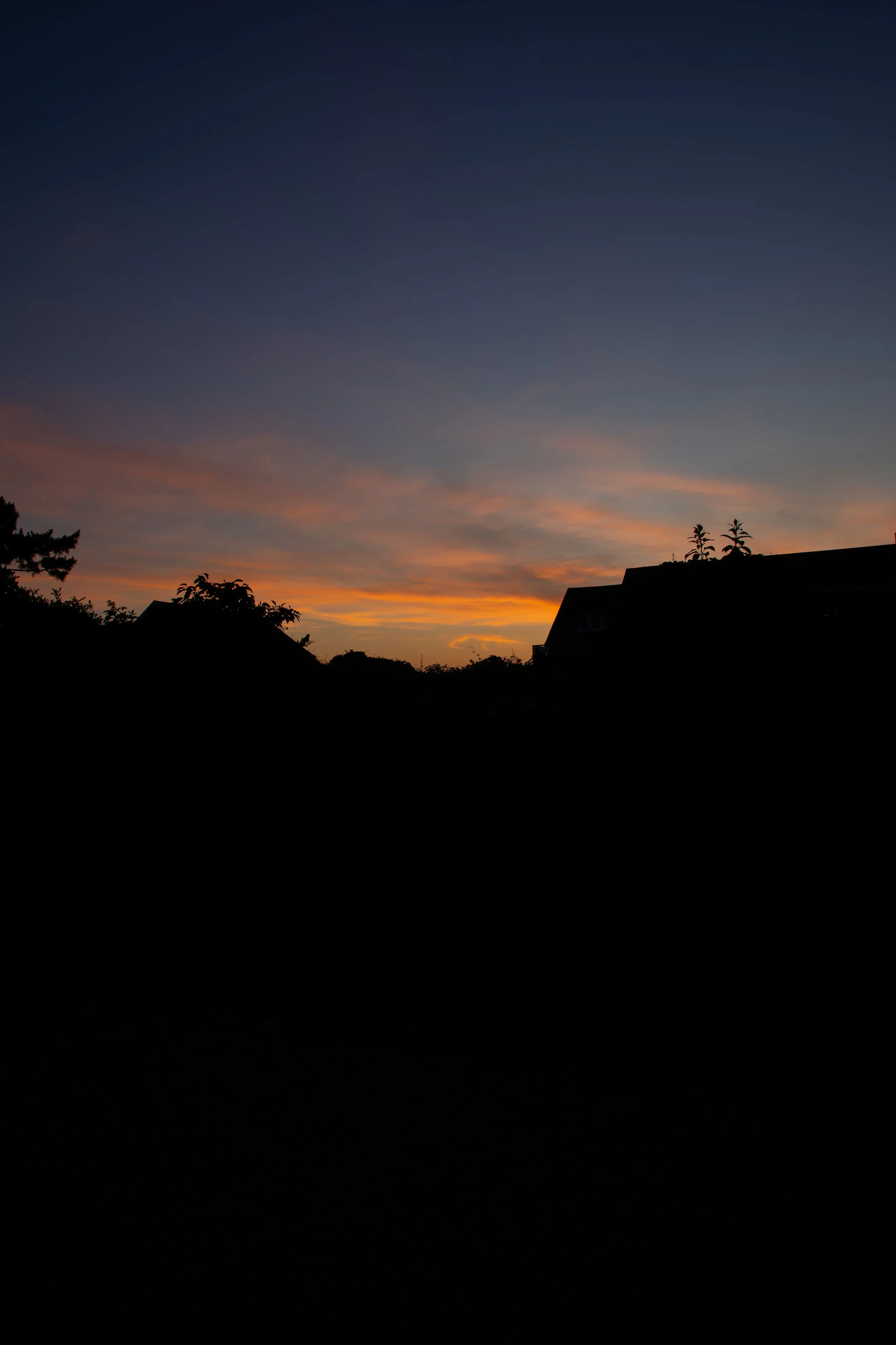 1:1 Sunrise Behind Houses (Portrait).jpg