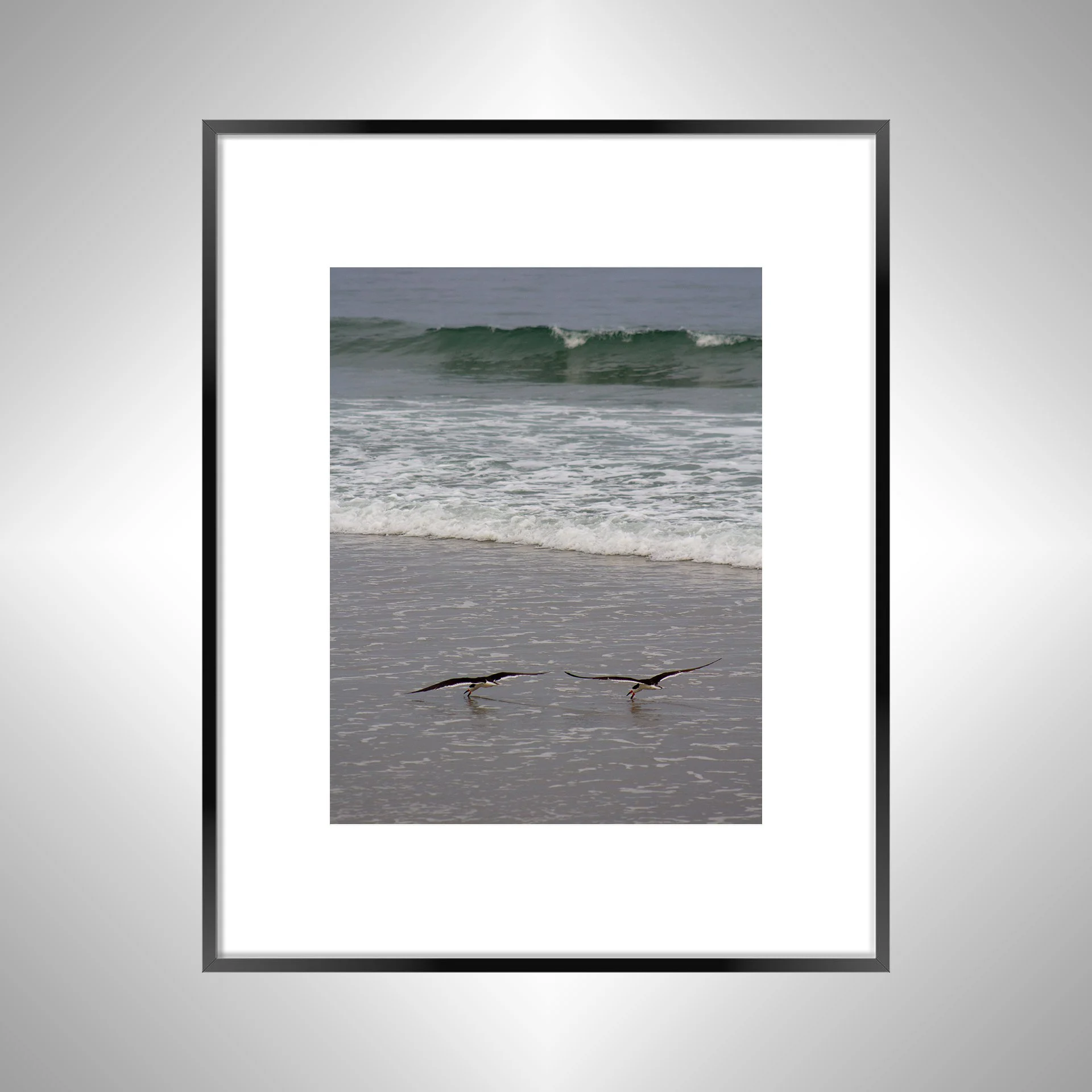 1:1 Oyster Catcher Couple Hunting in Carova- Black w: Border.jpg