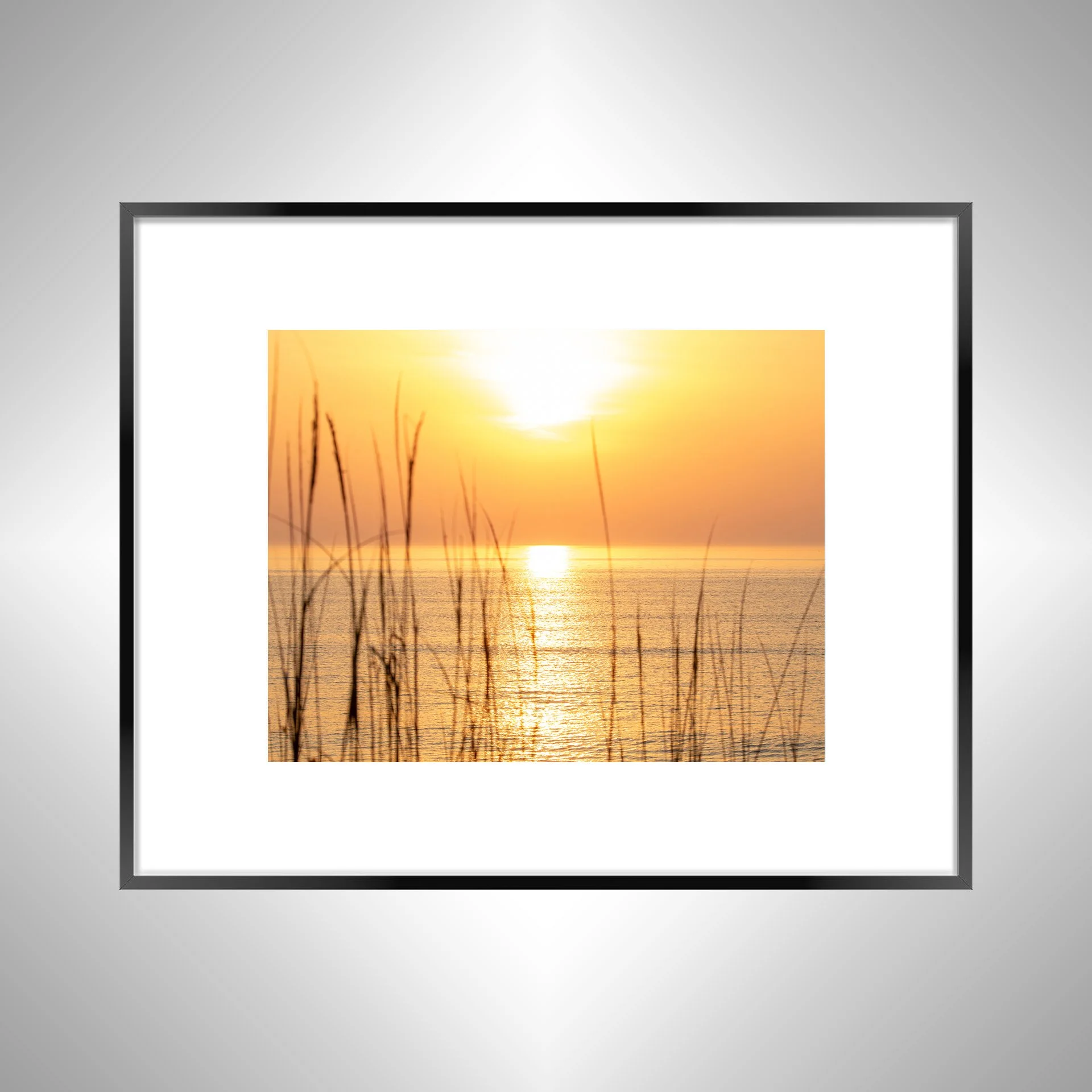 1:1 Sunrise thru Dunegrass- Black w: Border.jpg
