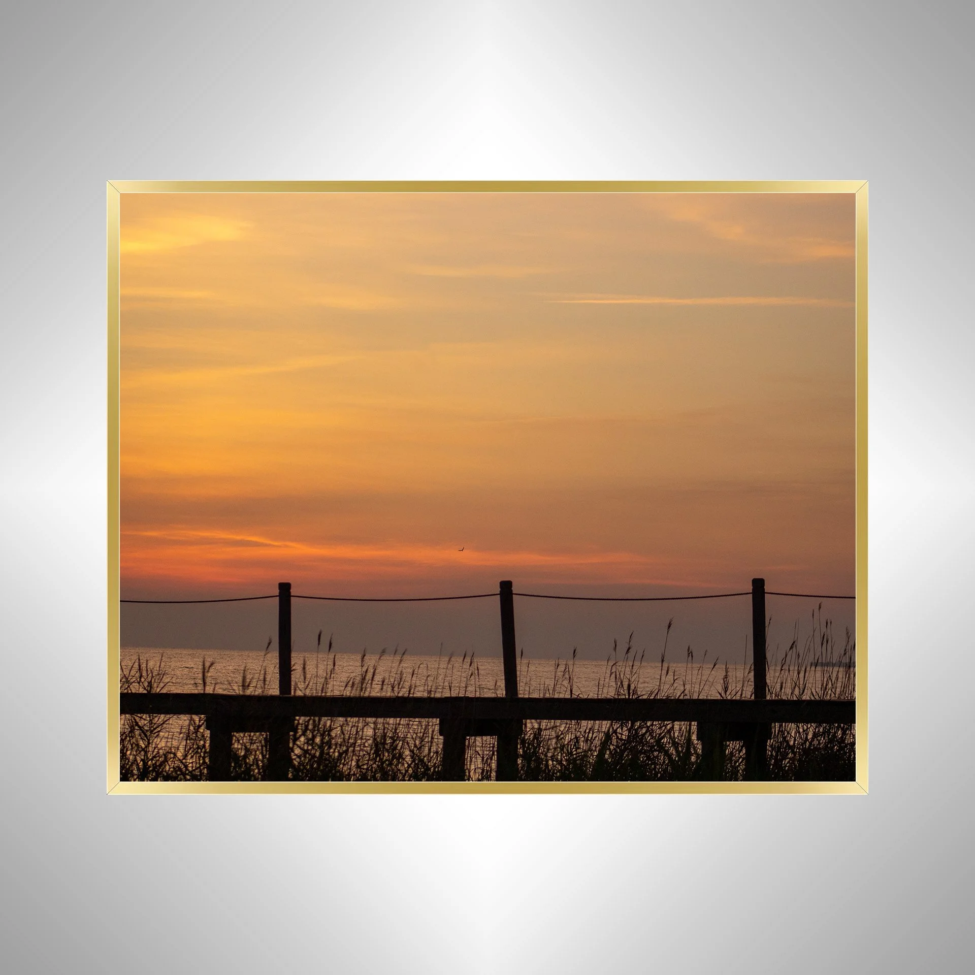 1:1 Sound Sunset with Seagull, Pier and Oats- Gold.jpg