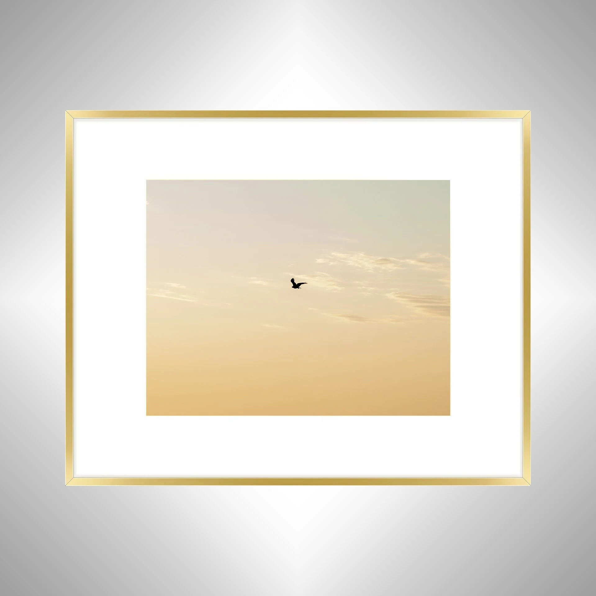 1:10 Golden Gull on Horizon- Gold w: Border.jpg