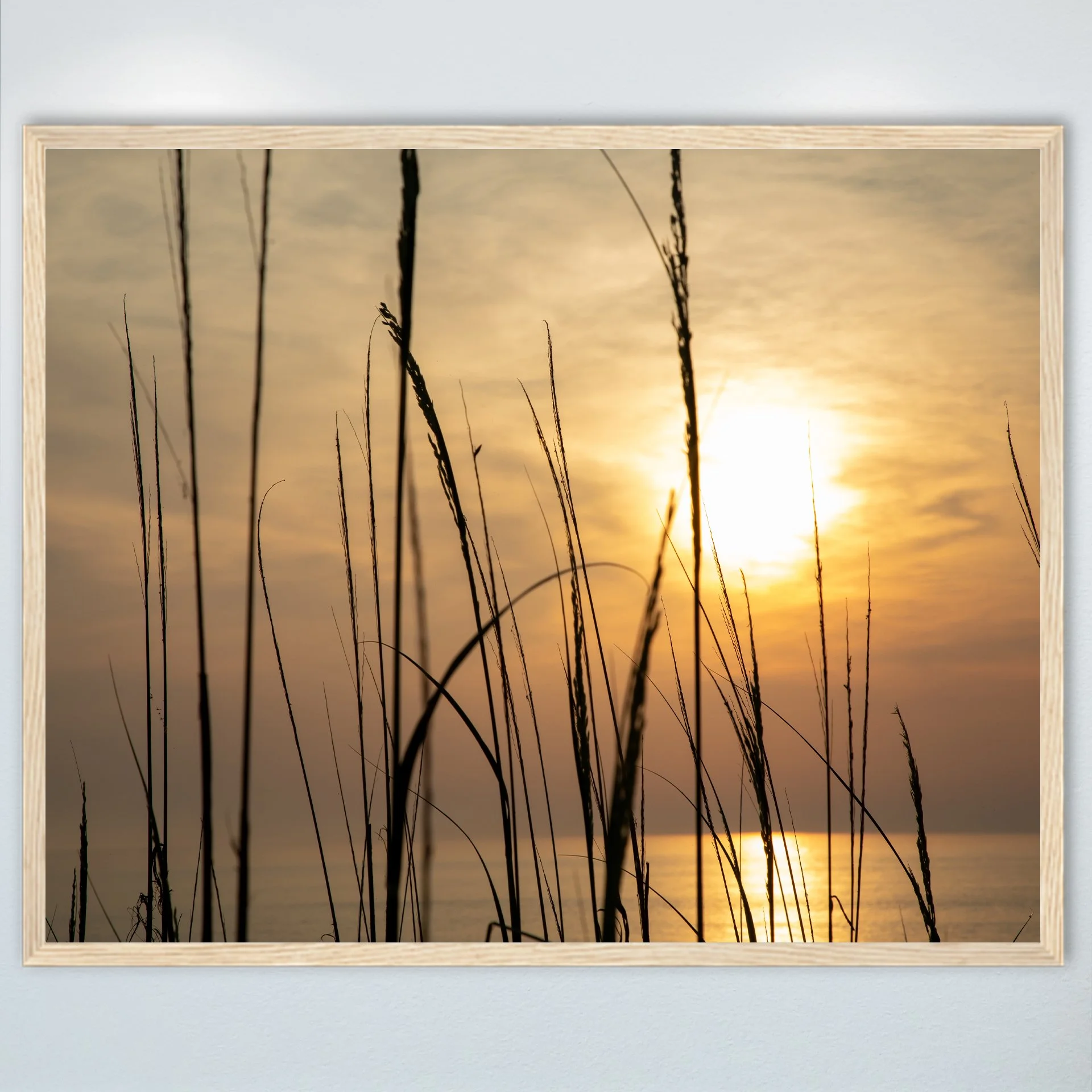1:1 Sunny Morning thru Dunegrass- Wood.jpg