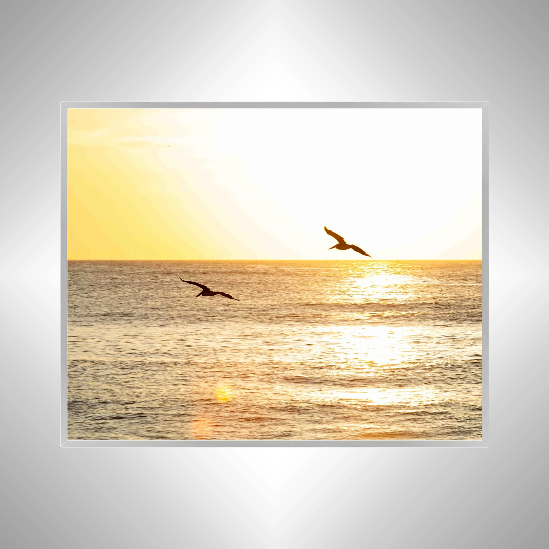 1:10 Gliding to the Sunrise- Silver.jpg
