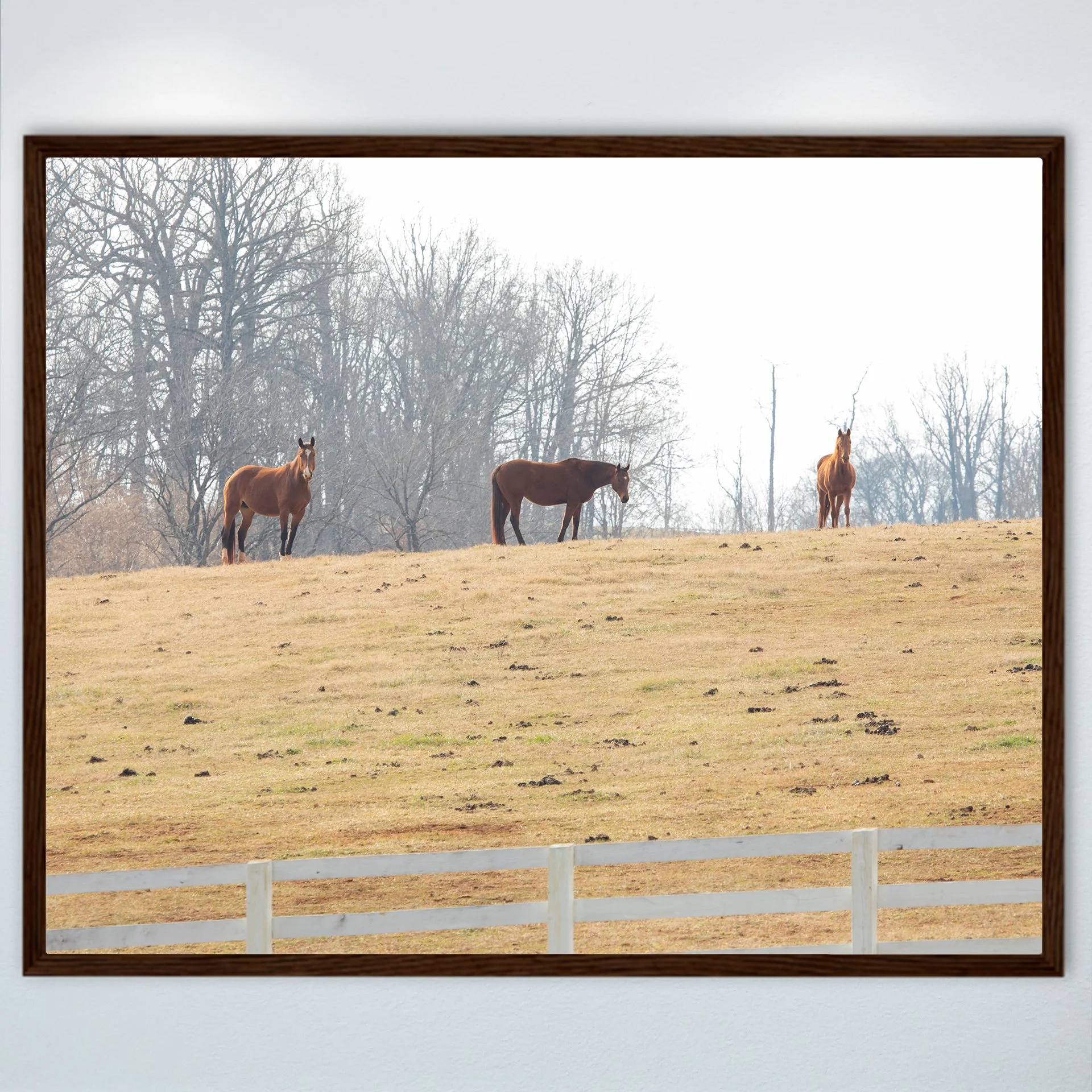 1:10 Horse Hill- Wood.jpg