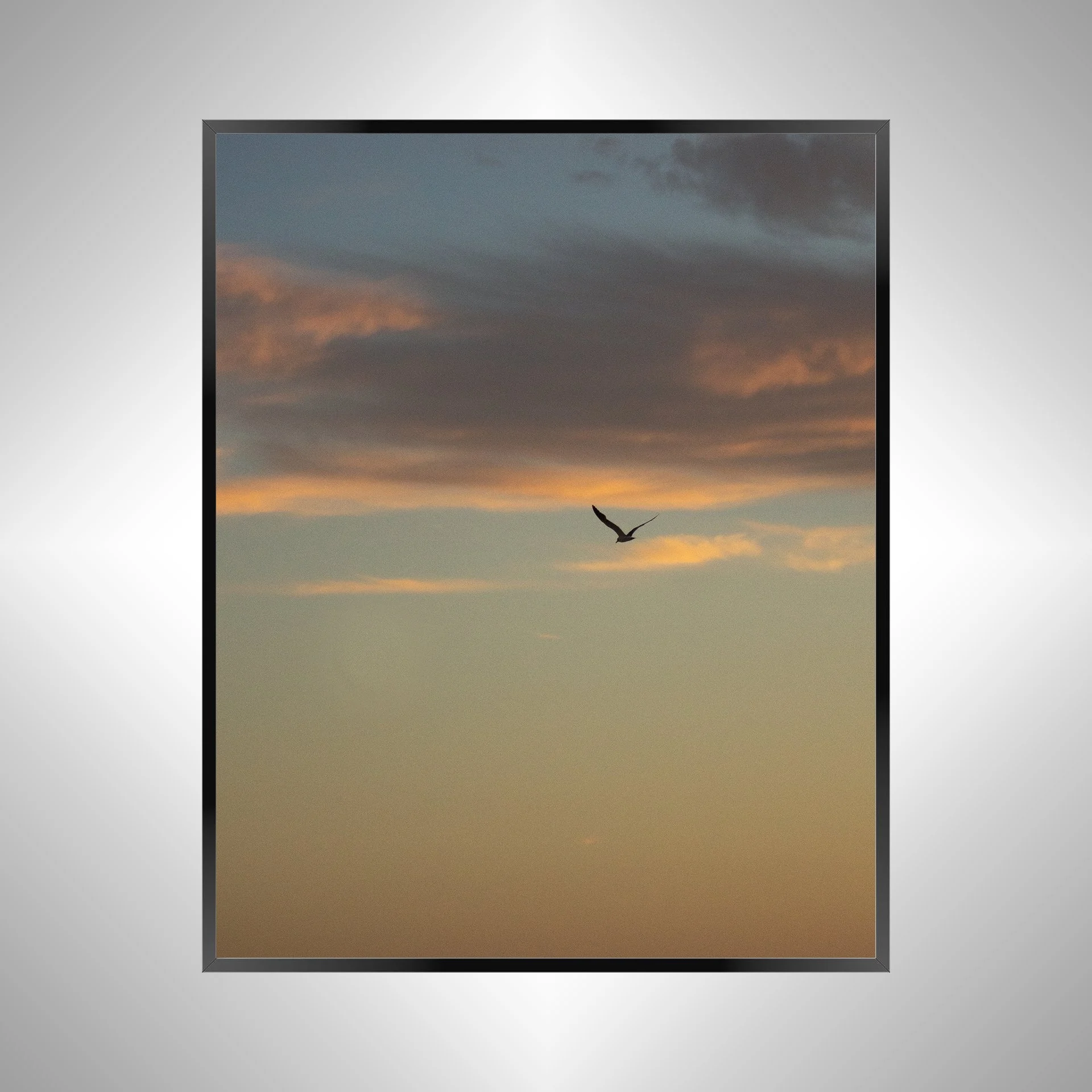 1/10 Seagull Soaring Gradient