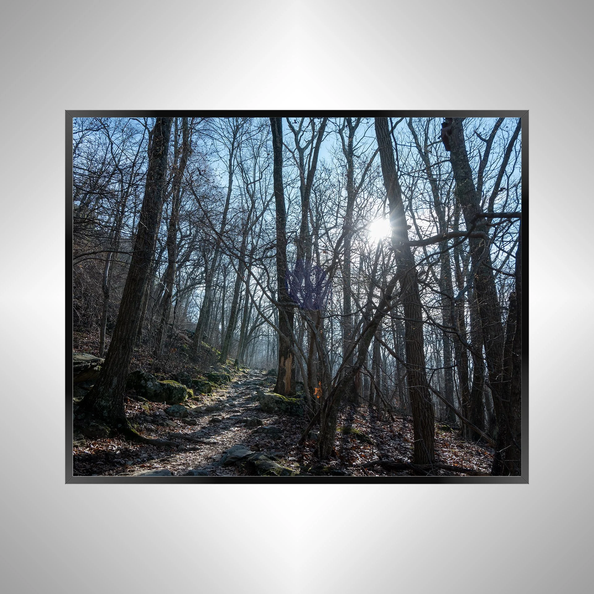 1/1 Shenandoah National Park Rock Trail with Sun Flare