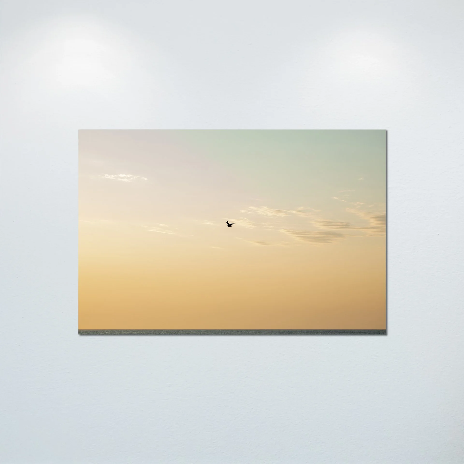 1/10 Golden Gull on Horizon