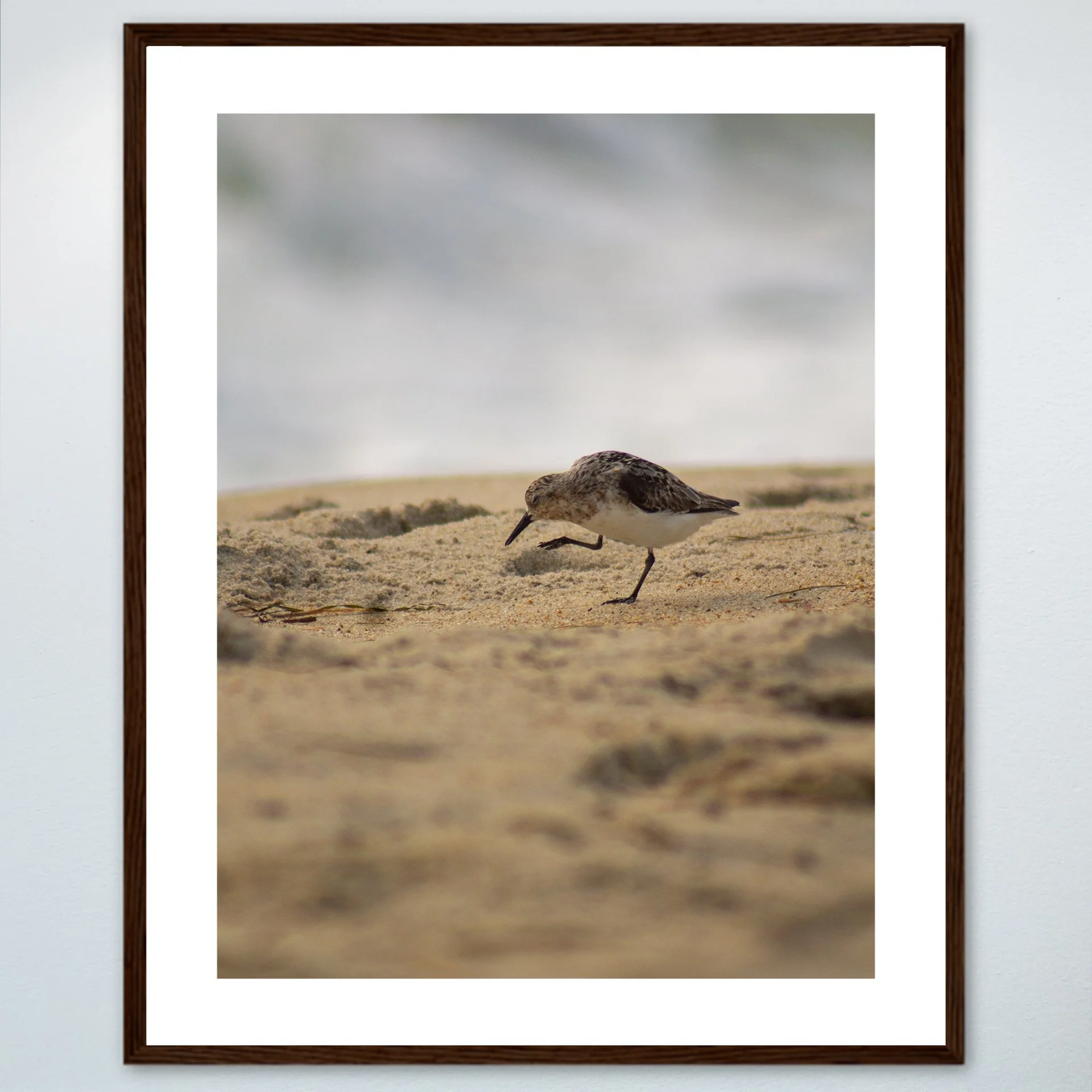 1:1 Itchy Willet- Wood w: Border.jpg