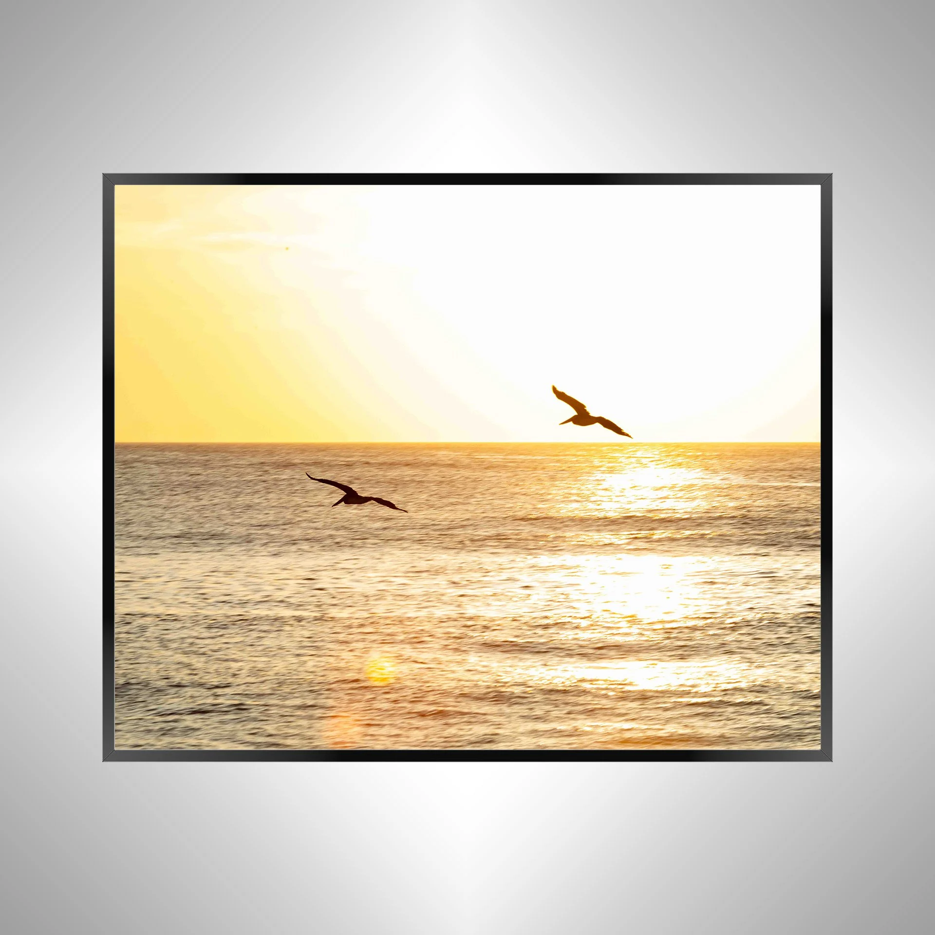 1/10 Gliding to the Sunrise