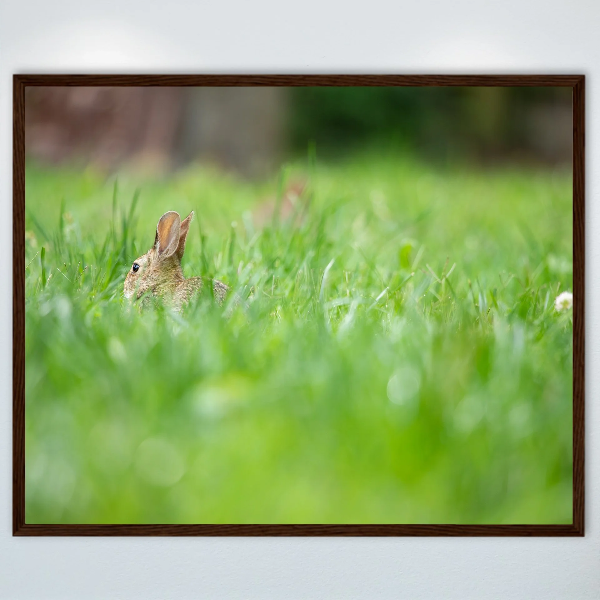 1:1 Rabbit in Grass- Wood.jpg